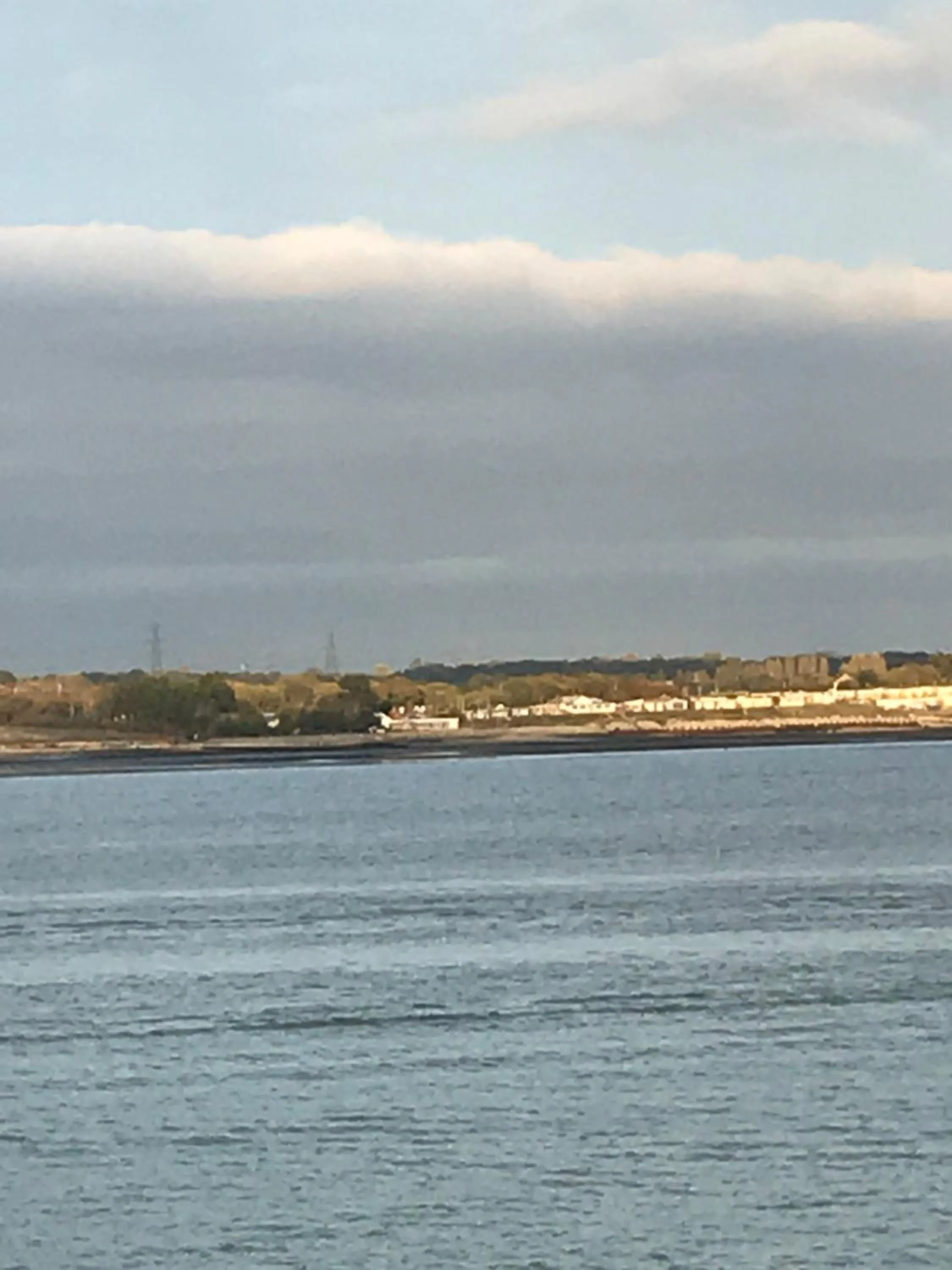 Natural landscape in Cove Cott Guest Accommodation