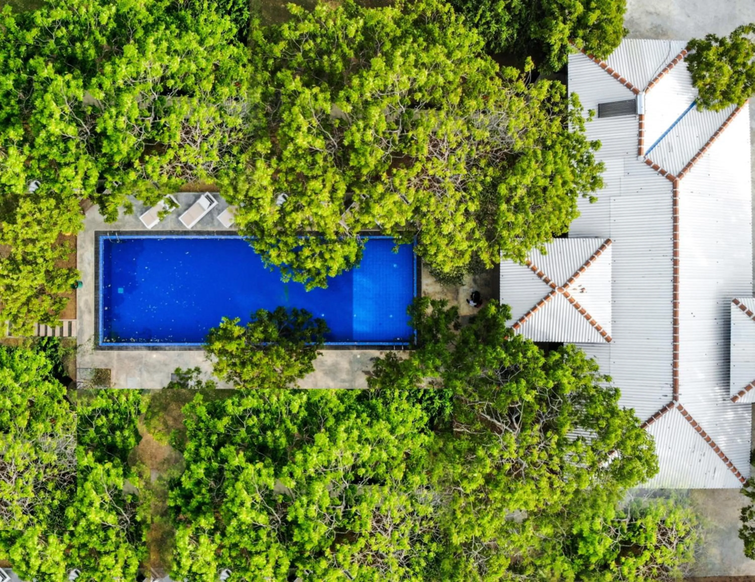 Bird's eye view in Arana Yala
