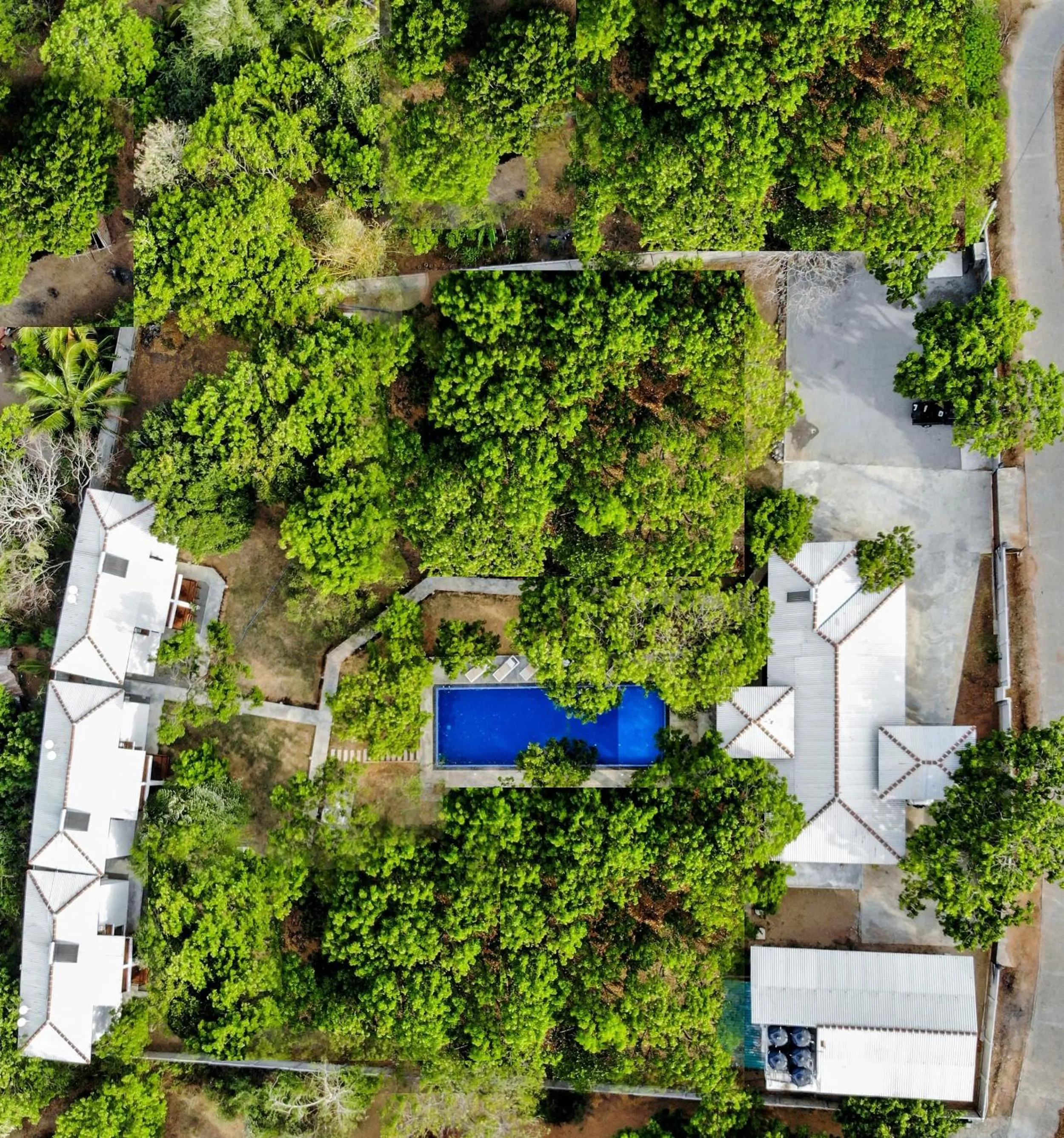 Bird's eye view in Arana Yala