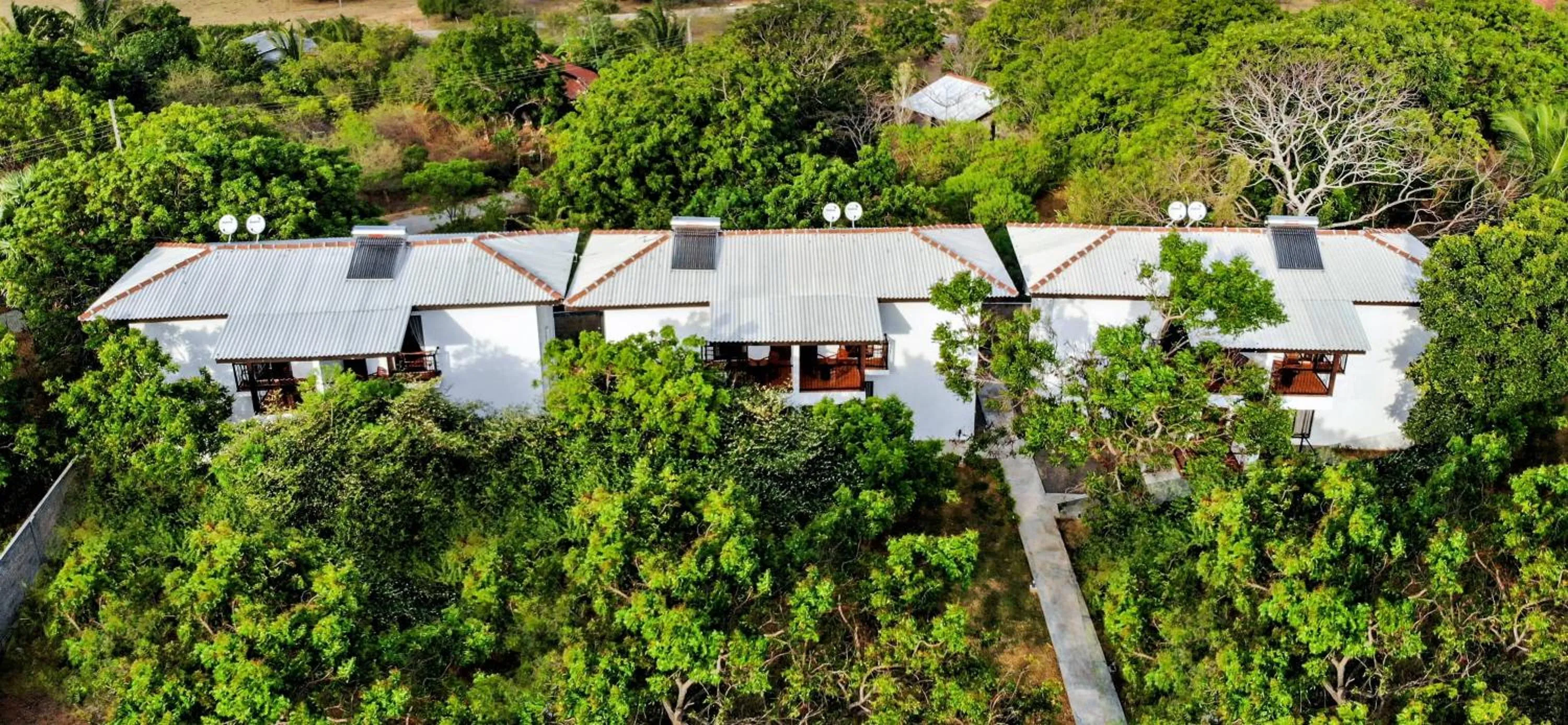 Bird's eye view in Arana Yala