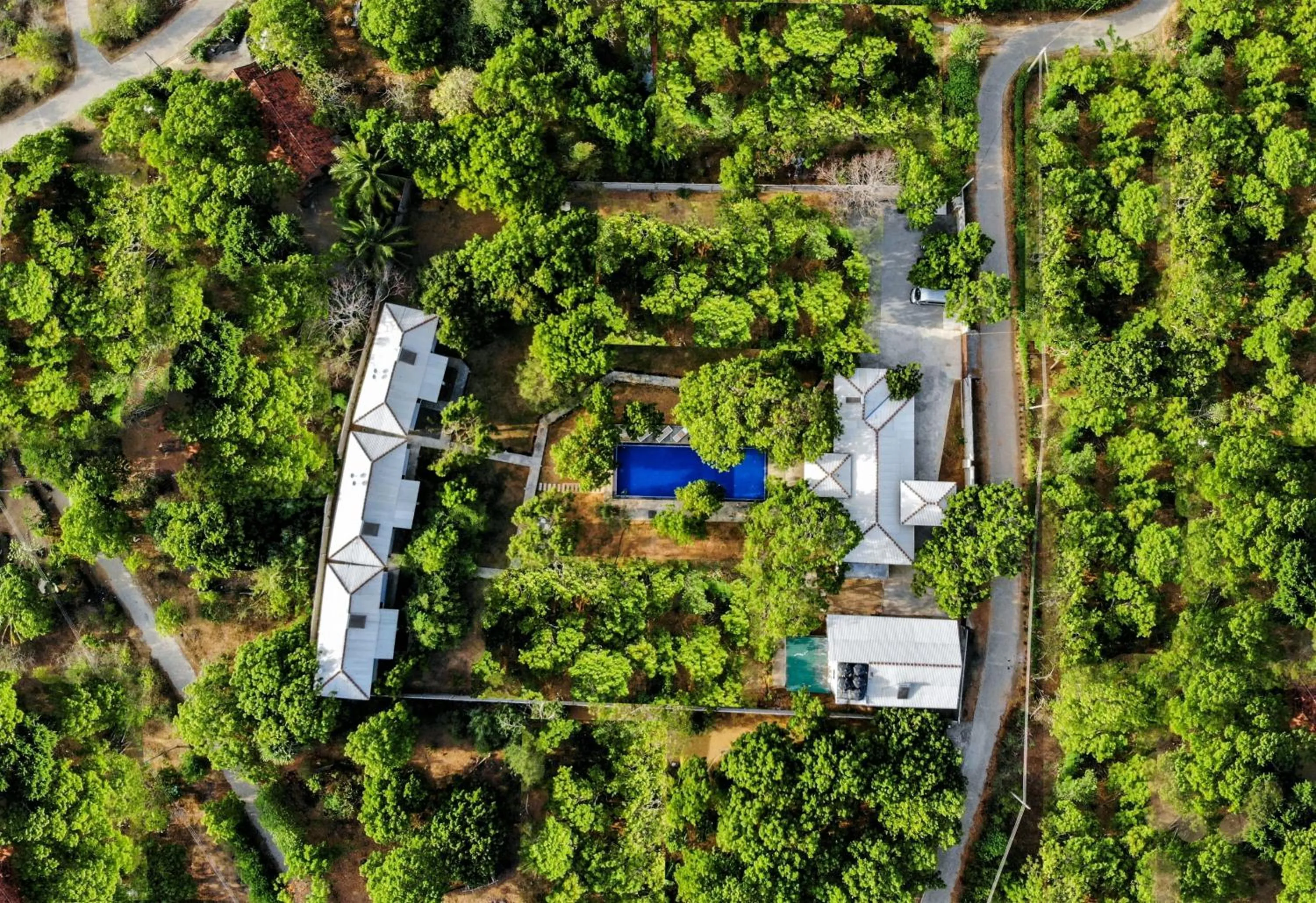 Bird's eye view in Arana Yala