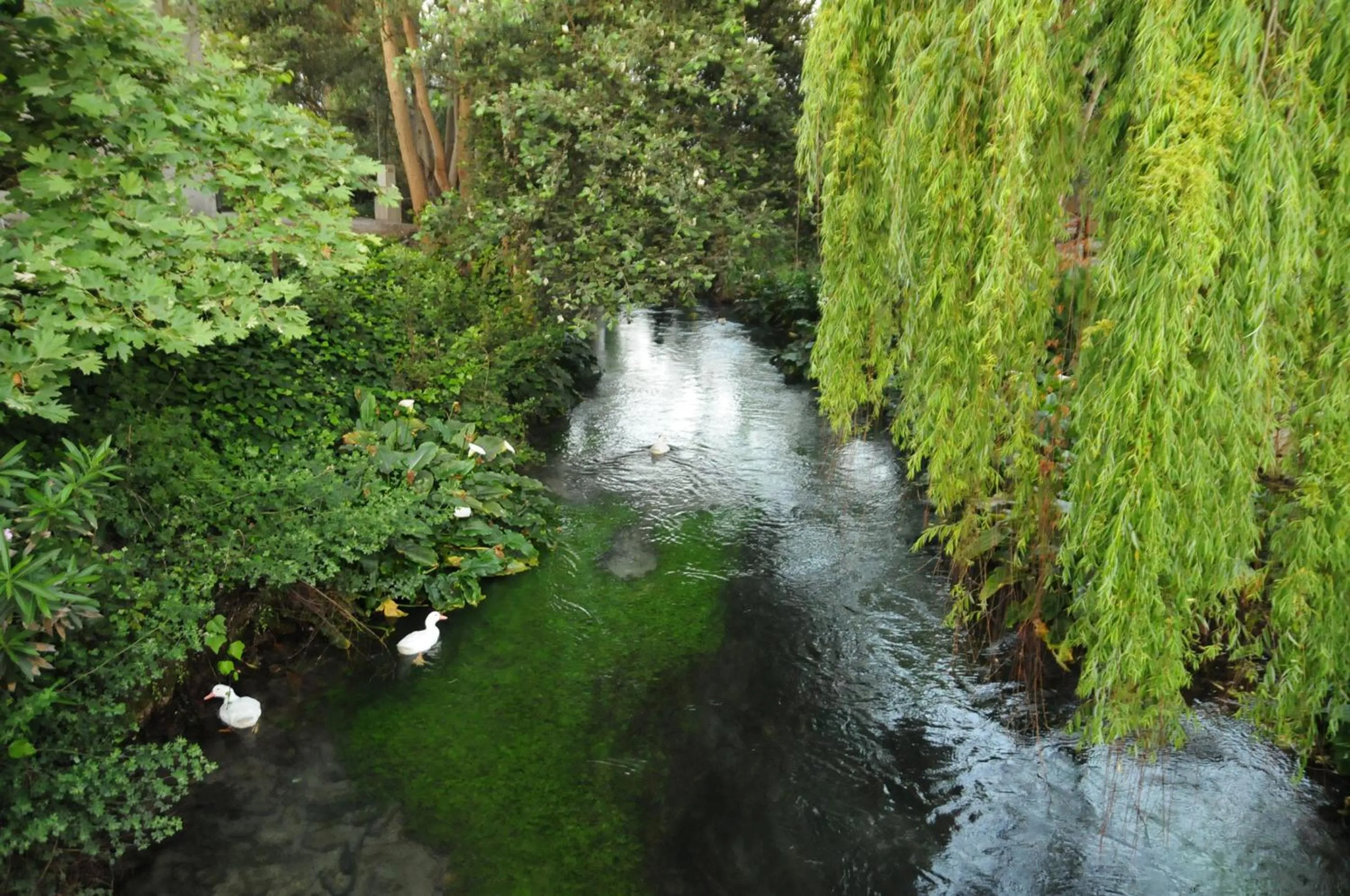River view in Kalyves Beach Hotel