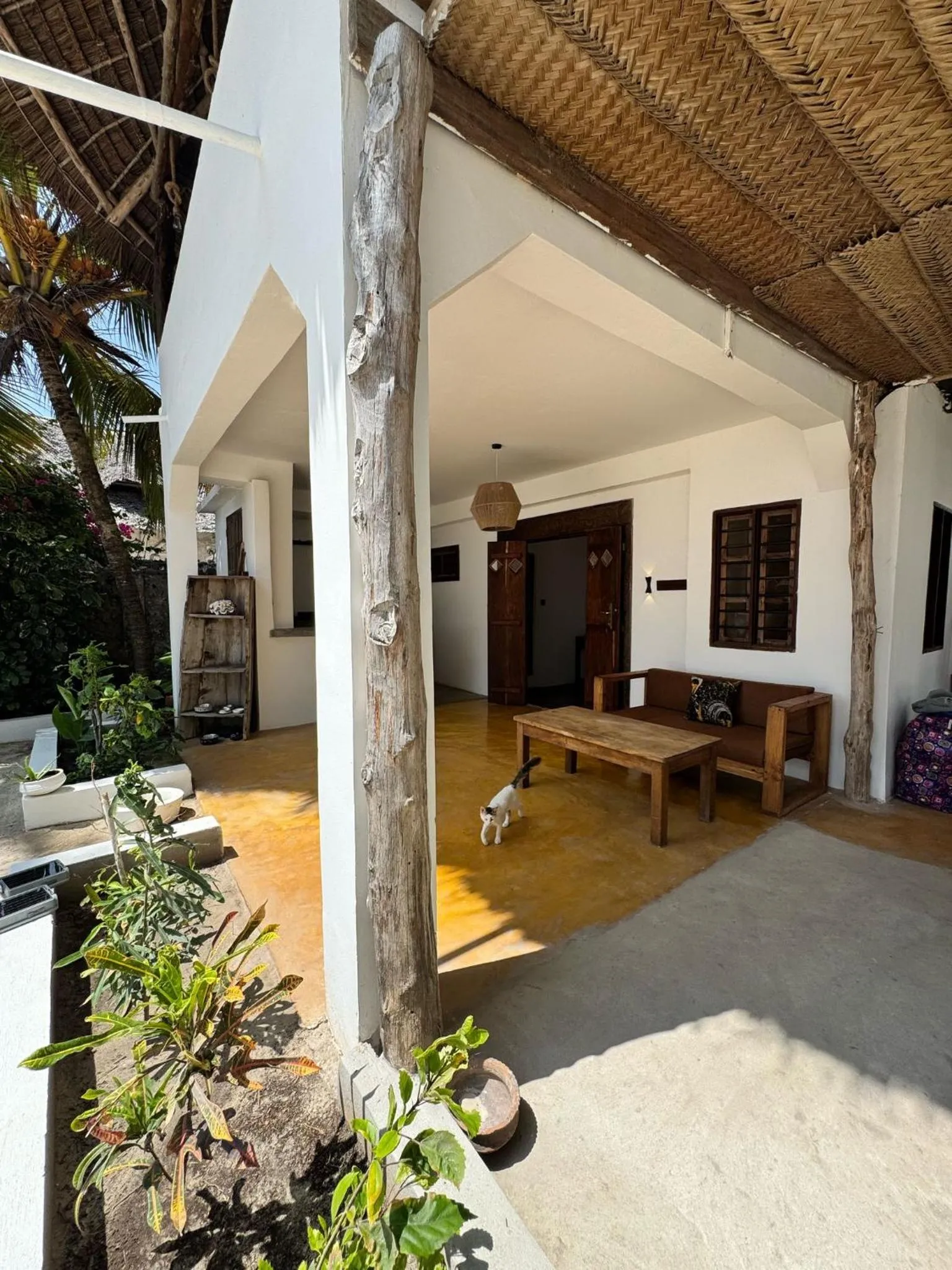 Day in Mango Beach House