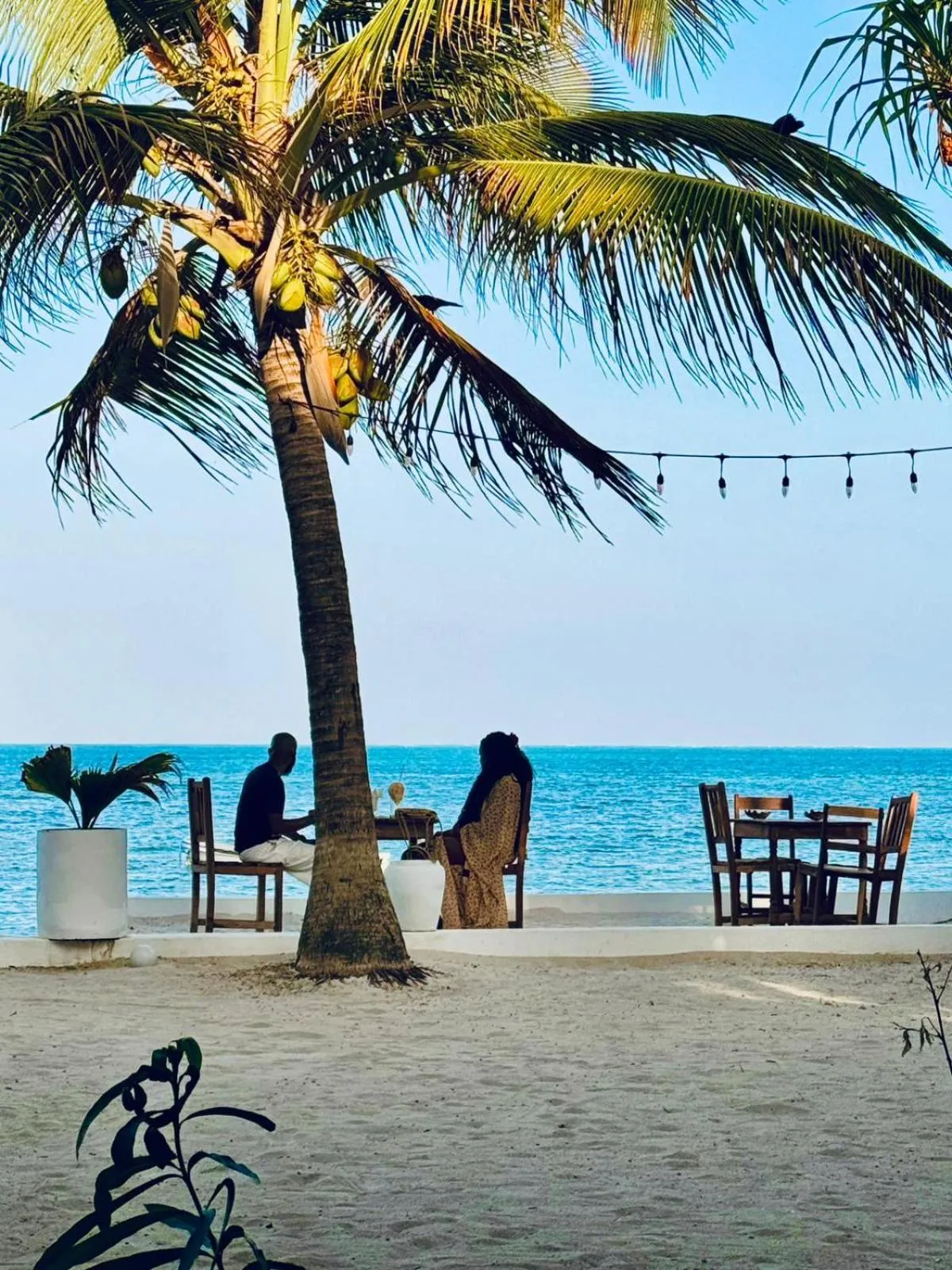 Day in Mango Beach House