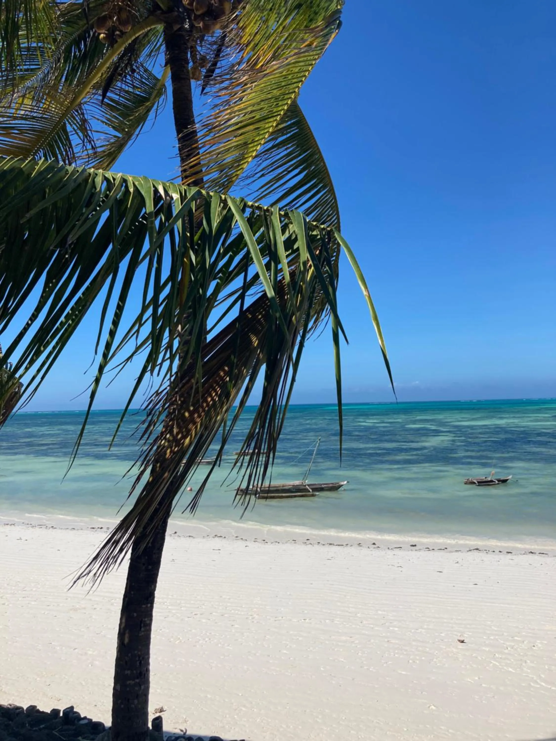 Day in Mango Beach House