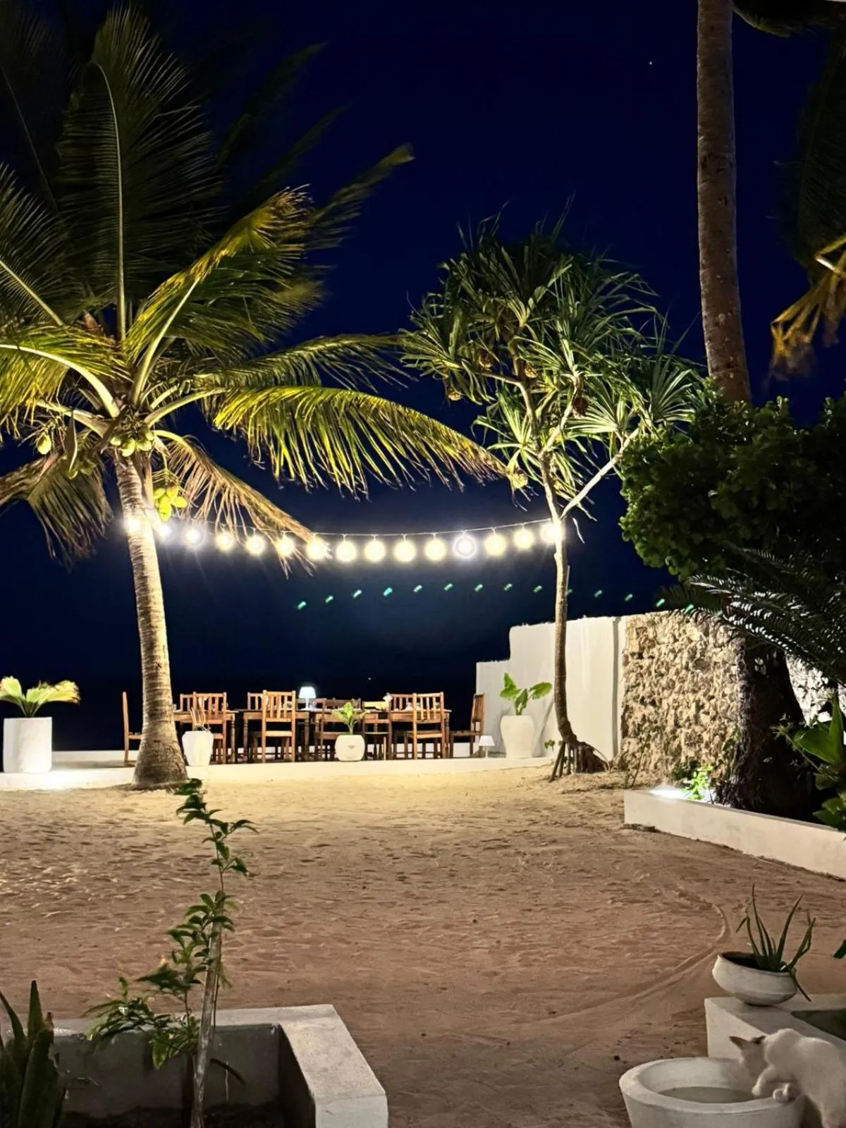Night in Mango Beach House