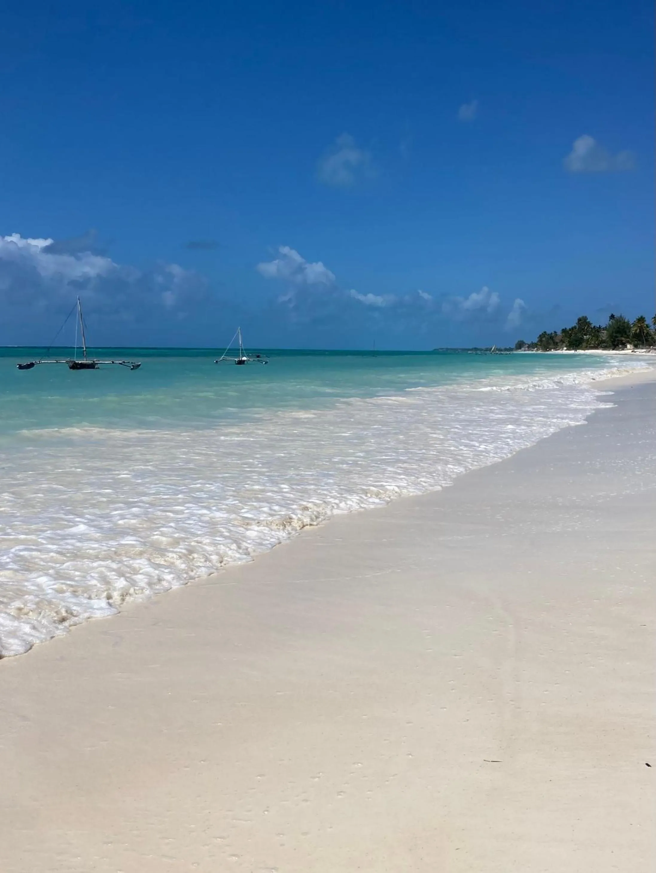 Day in Mango Beach House