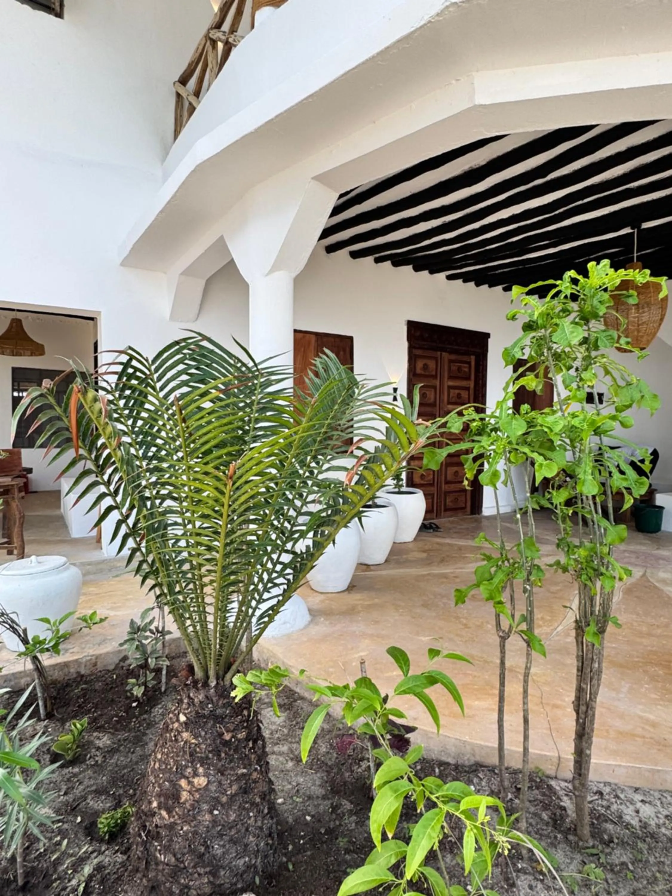 Day in Mango Beach House