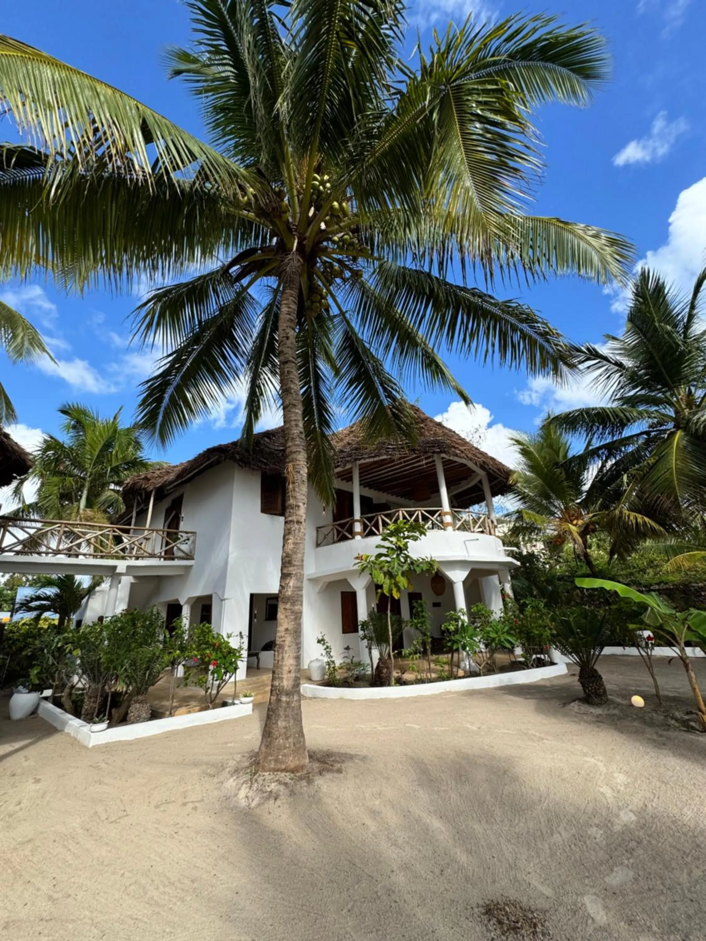 Property building in Mango Beach House