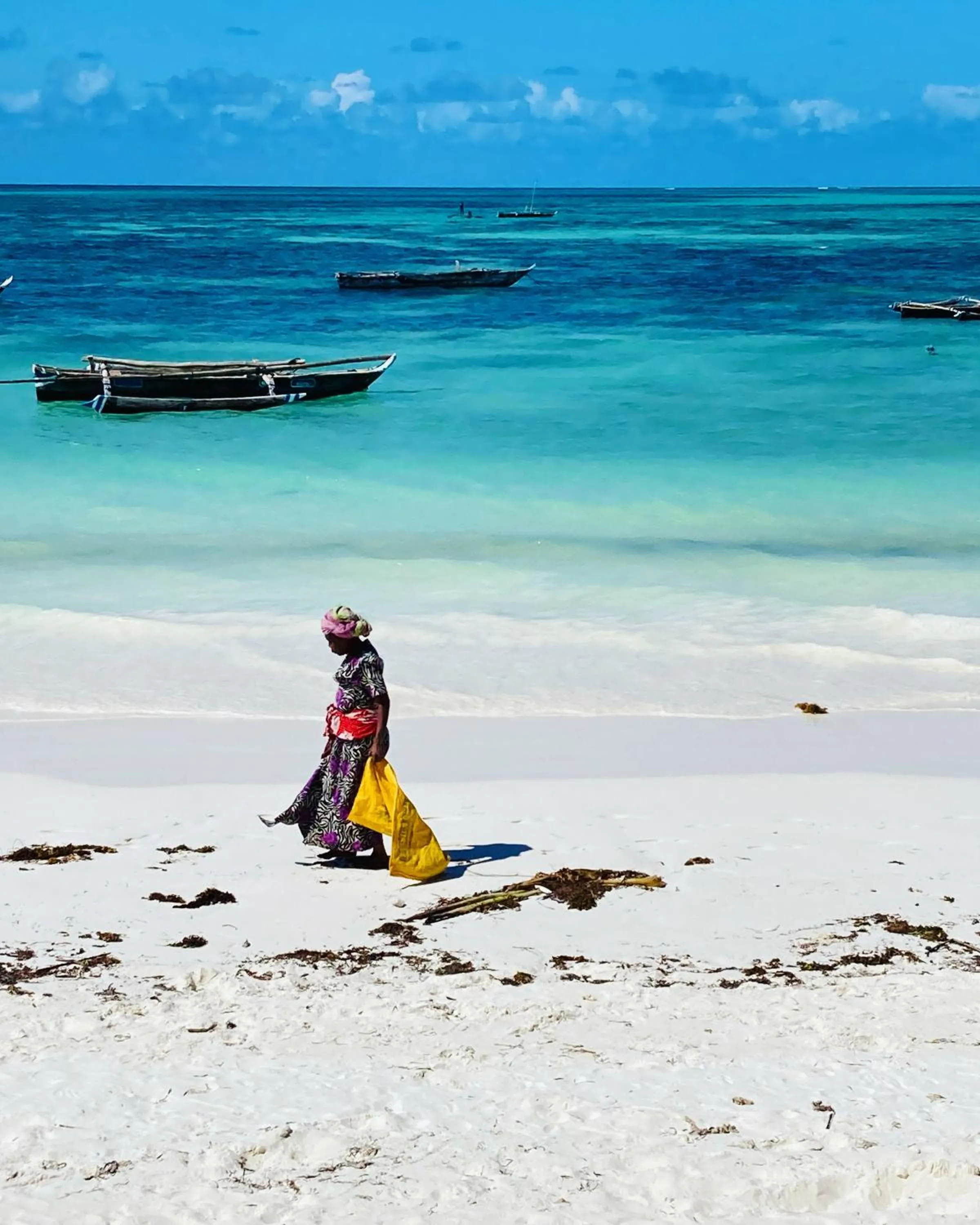 Day in Mango Beach House