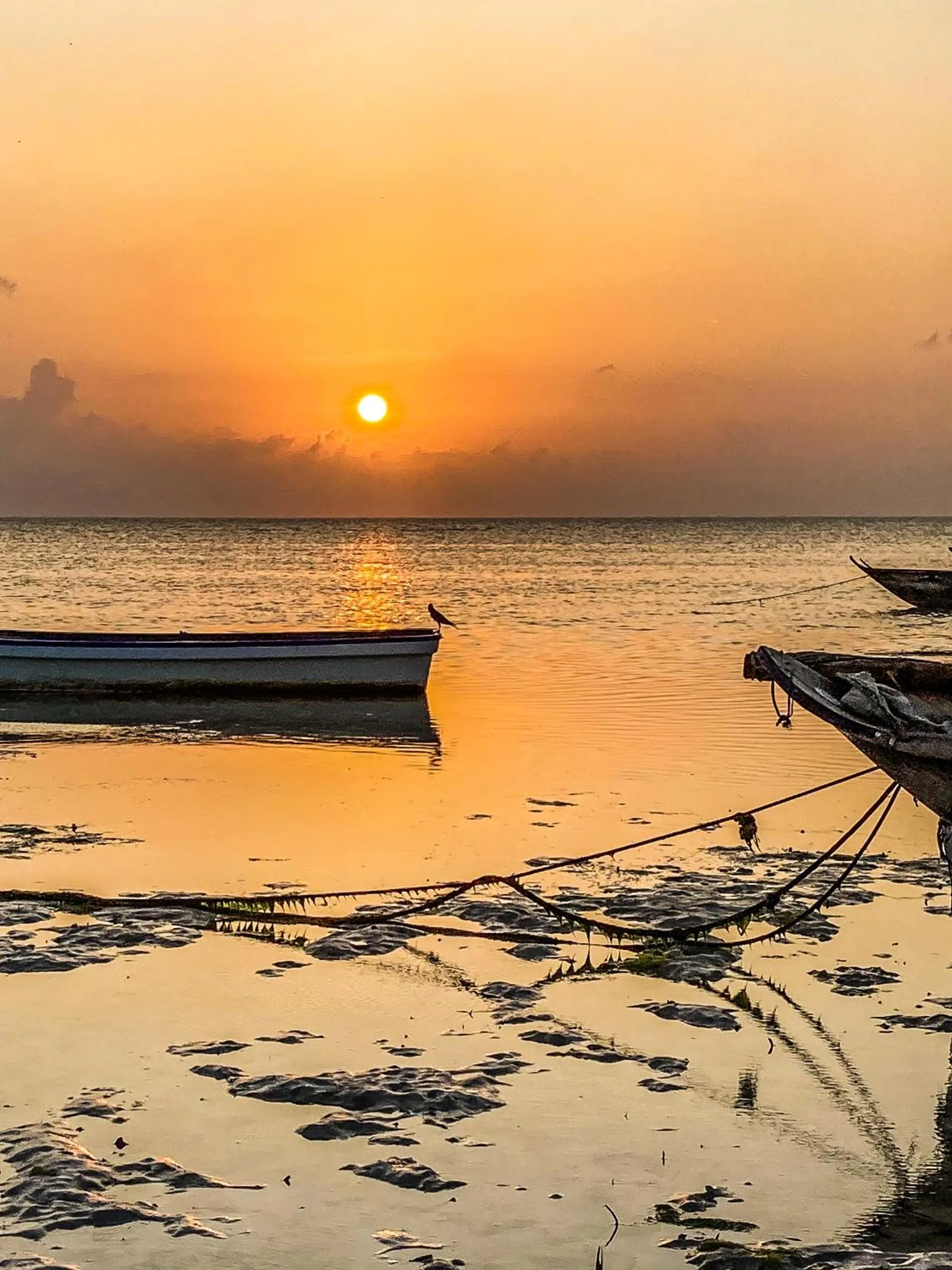 Natural landscape in Mango Beach House