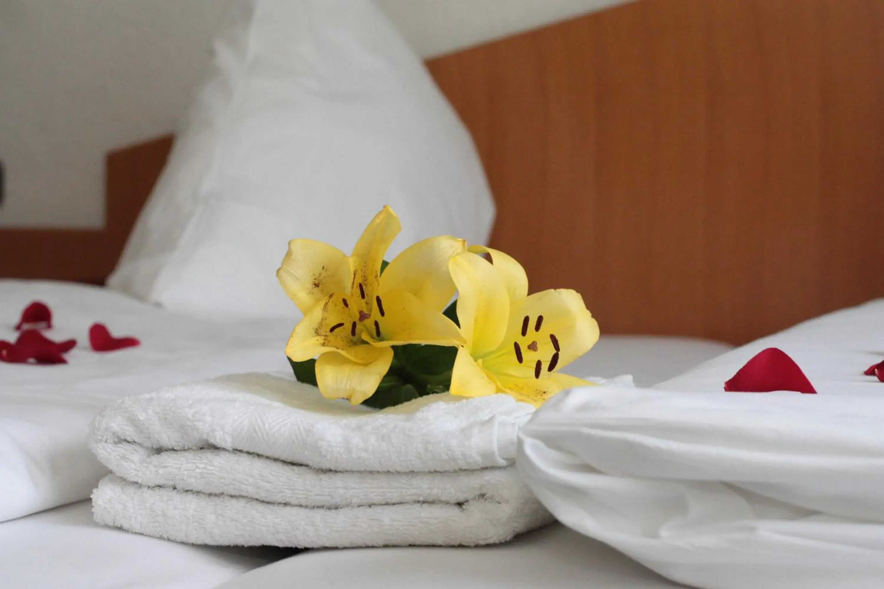 towels, Bed in Mainbogen Hotel