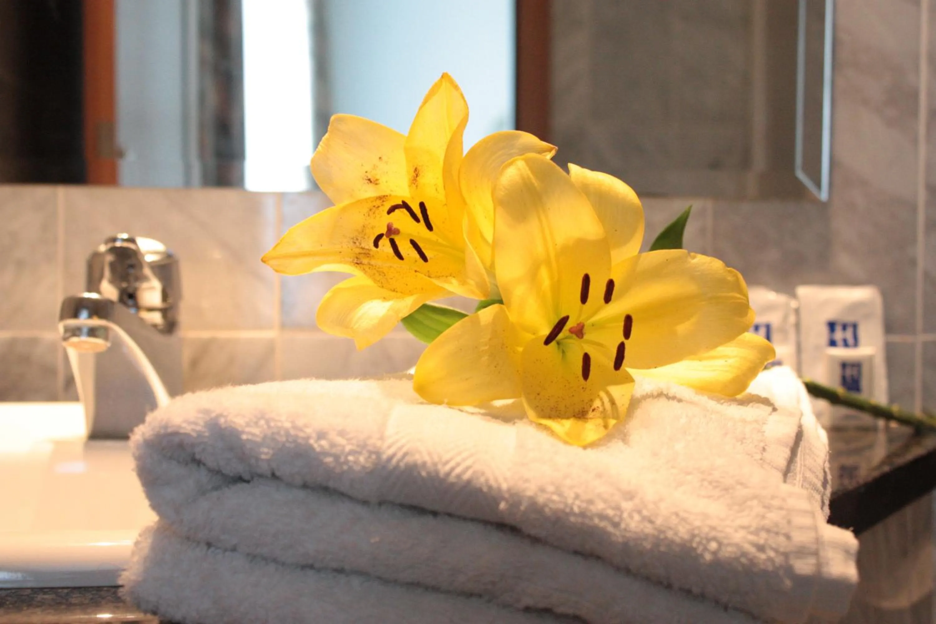 Bathroom in Hotel Mainbogen