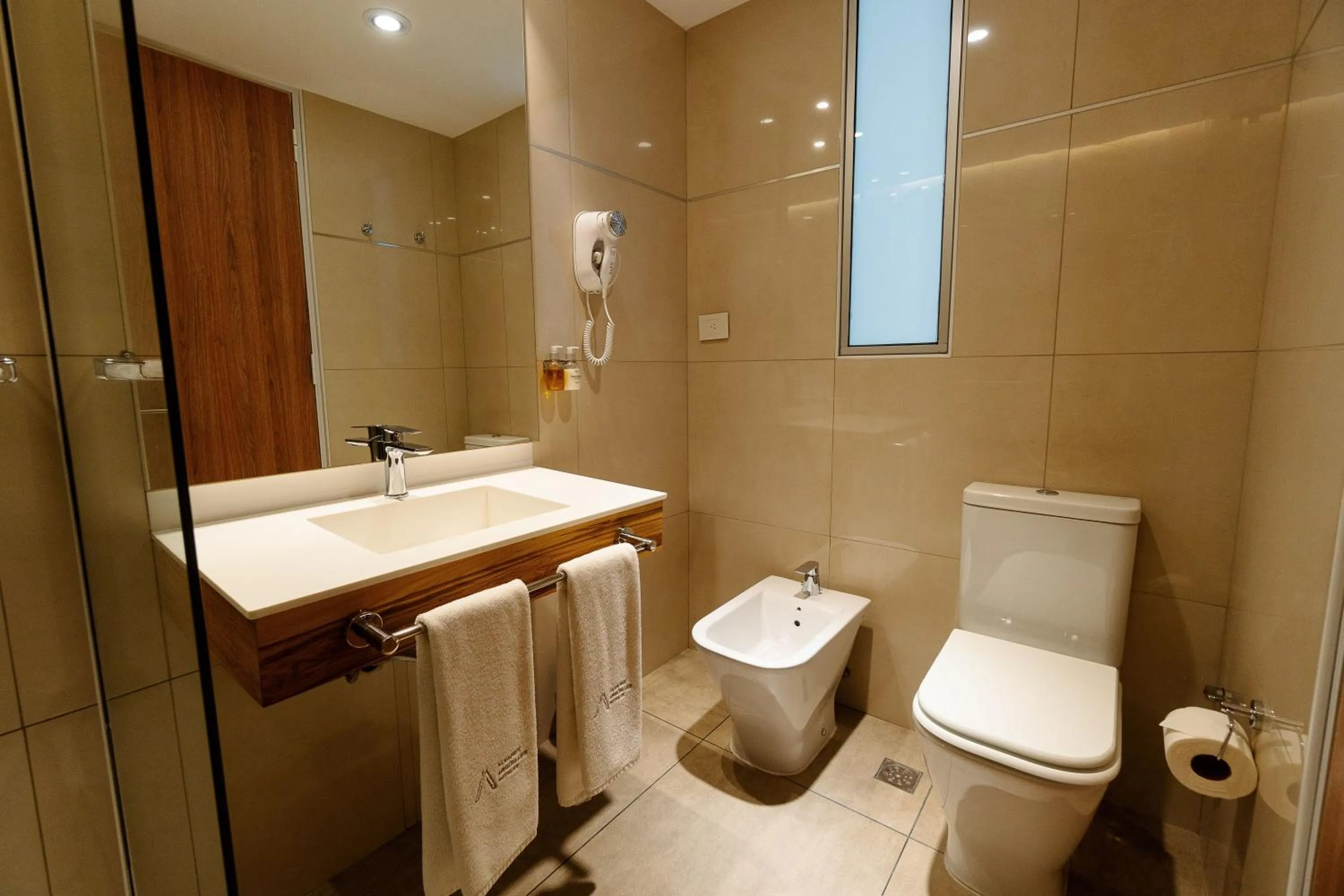 Toilet in Brizo Salta