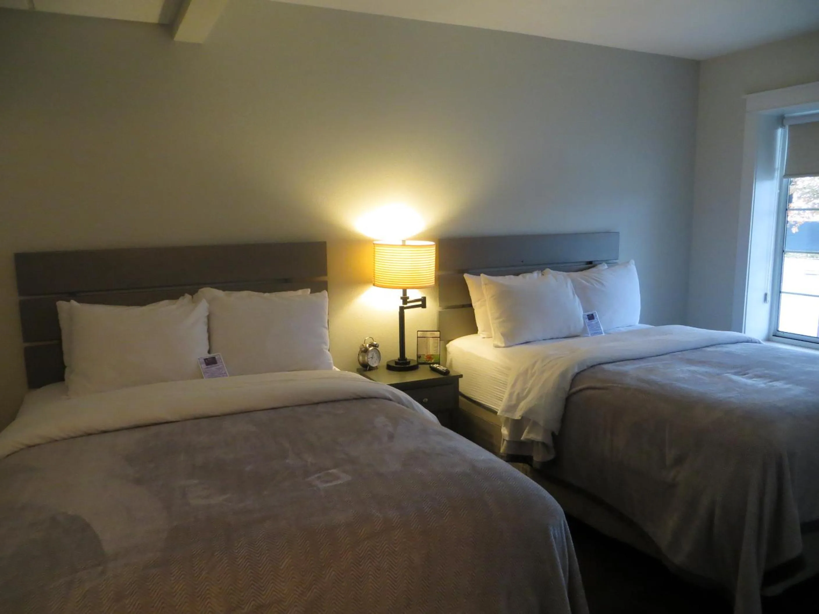 Bed in Brio Beach Inn