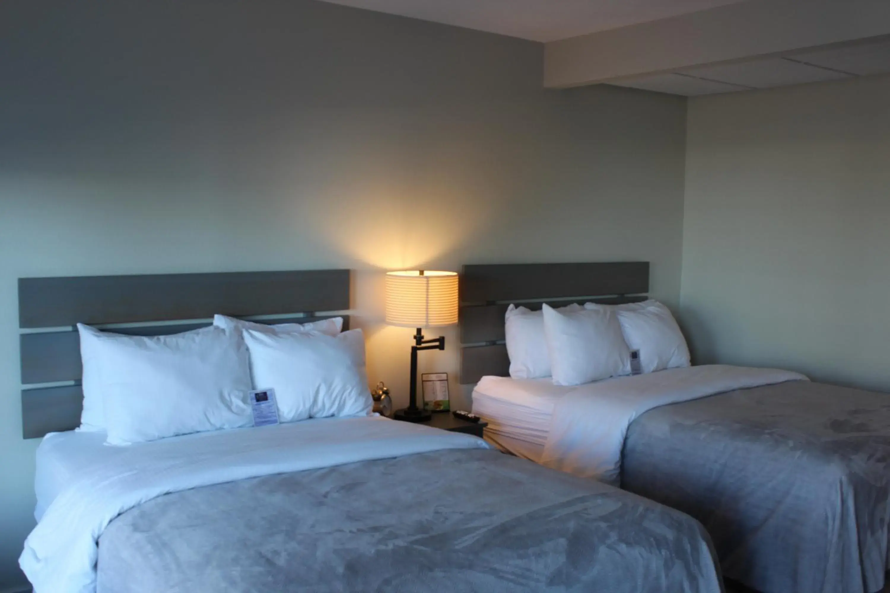 Double Room in Brio Beach Inn Double Room in Brio Beach Inn