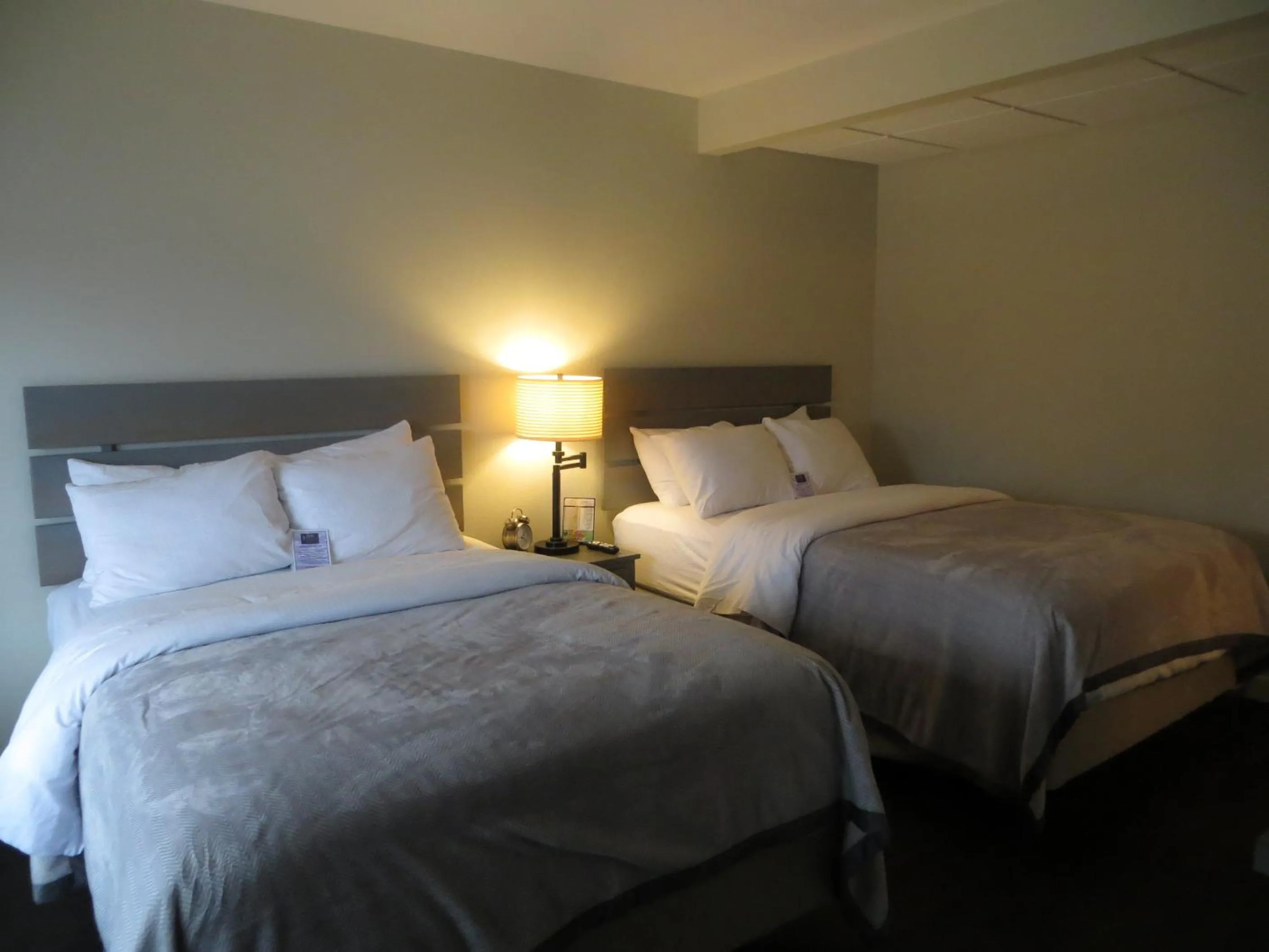 Bed in Brio Beach Inn