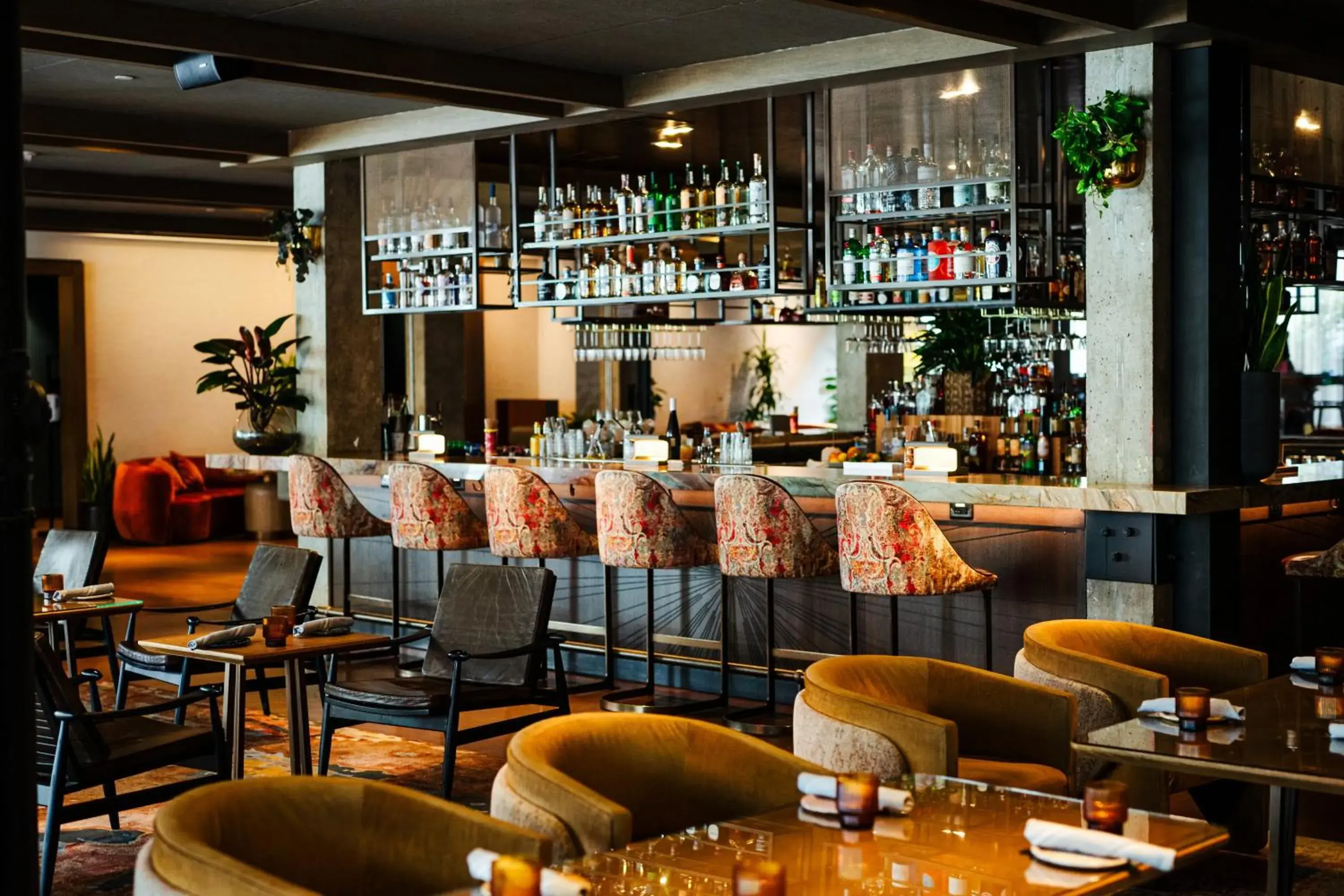 Restaurant/places to eat in Vignette Collection Yours Truly DC by IHG Restaurant/places to eat in Vignette Collection Yours Truly DC by IHG