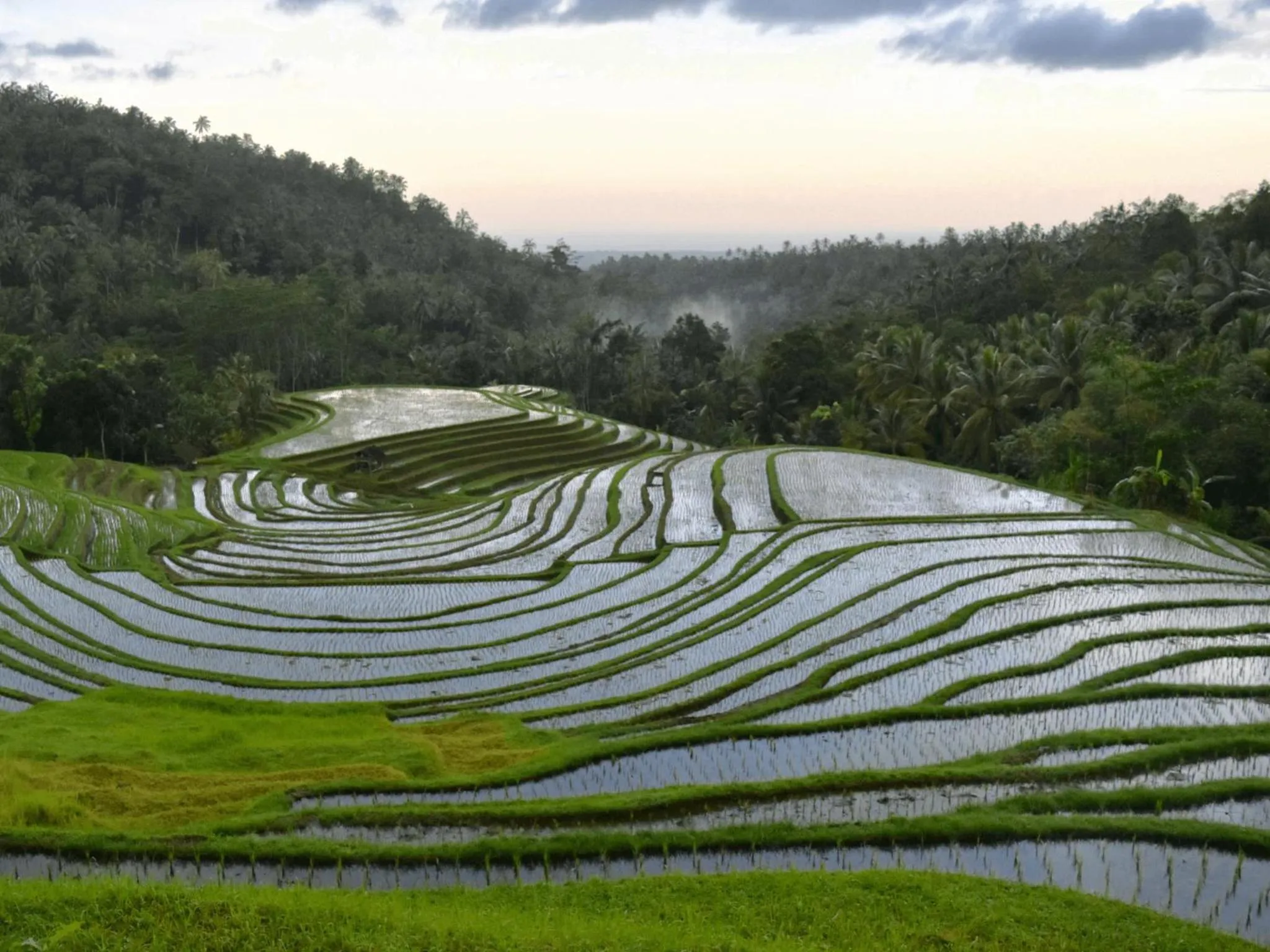 Natural landscape in Clove Tree Hill