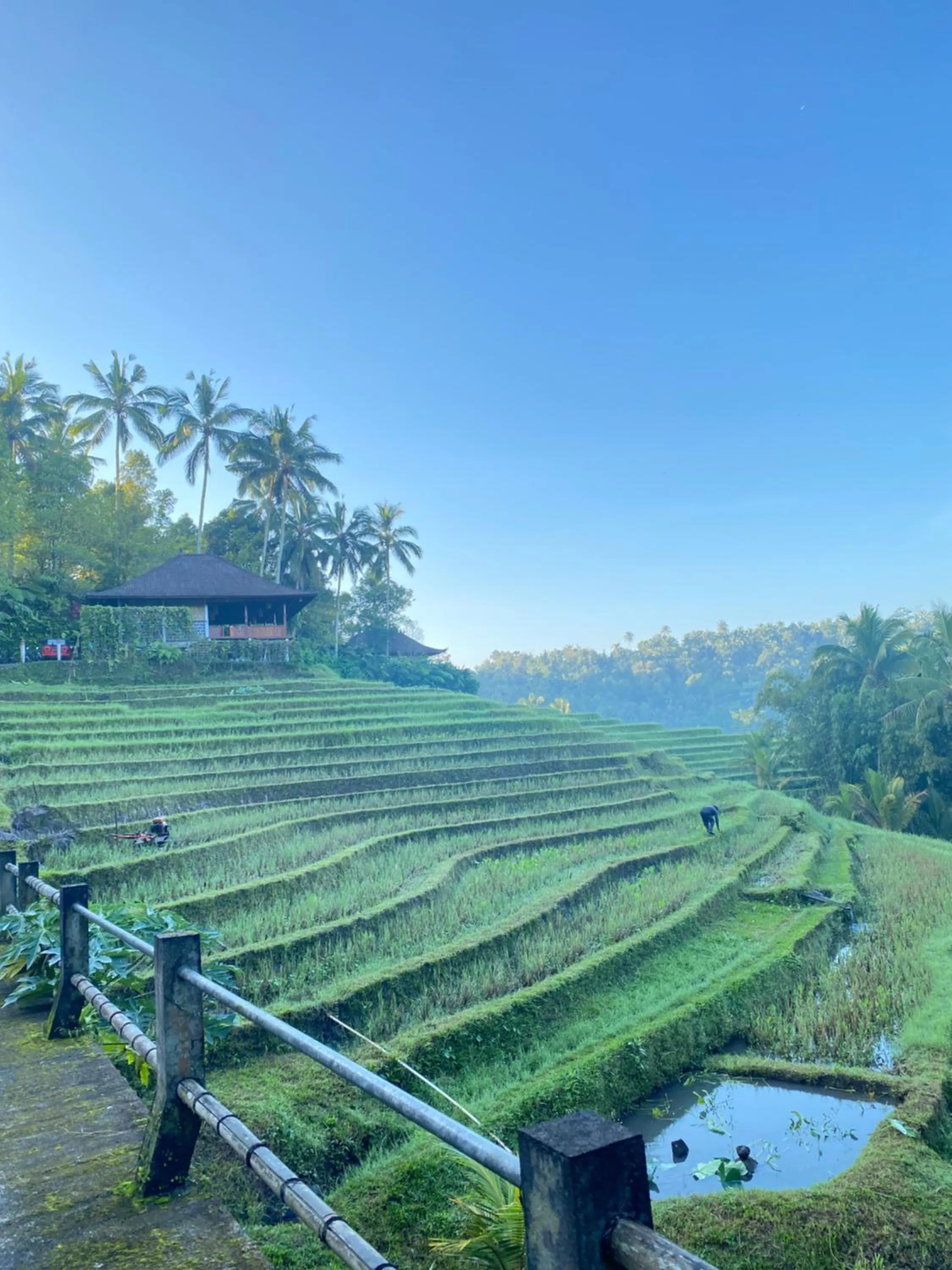 Natural landscape in Clove Tree Hill