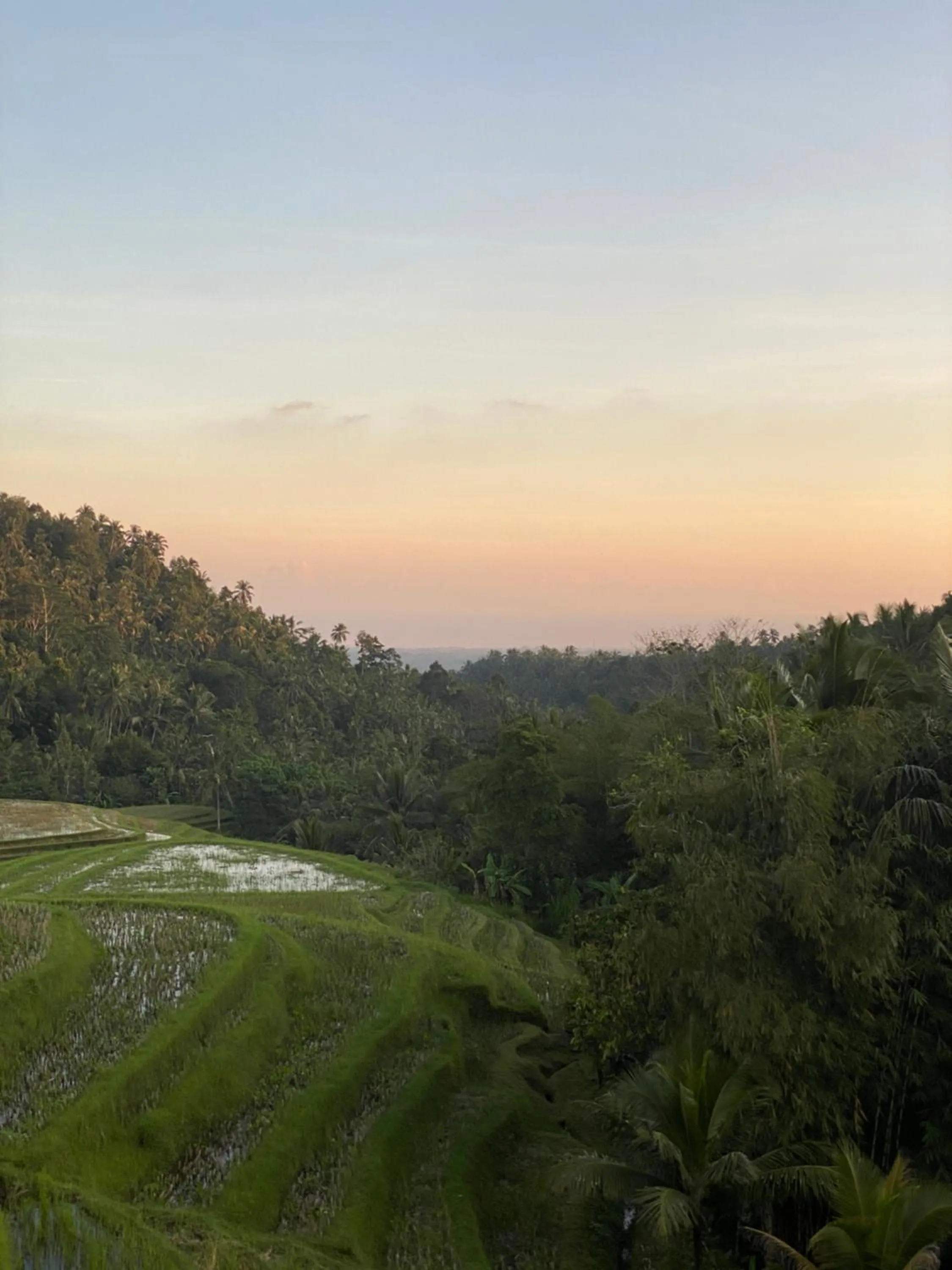 Restaurant/places to eat in Clove Tree Hill