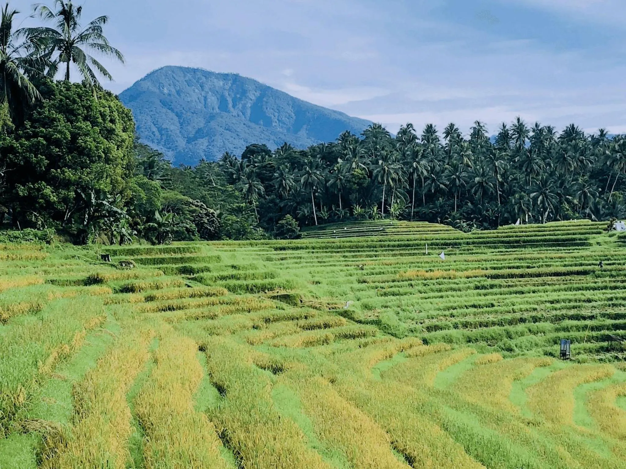 Natural landscape in Clove Tree Hill