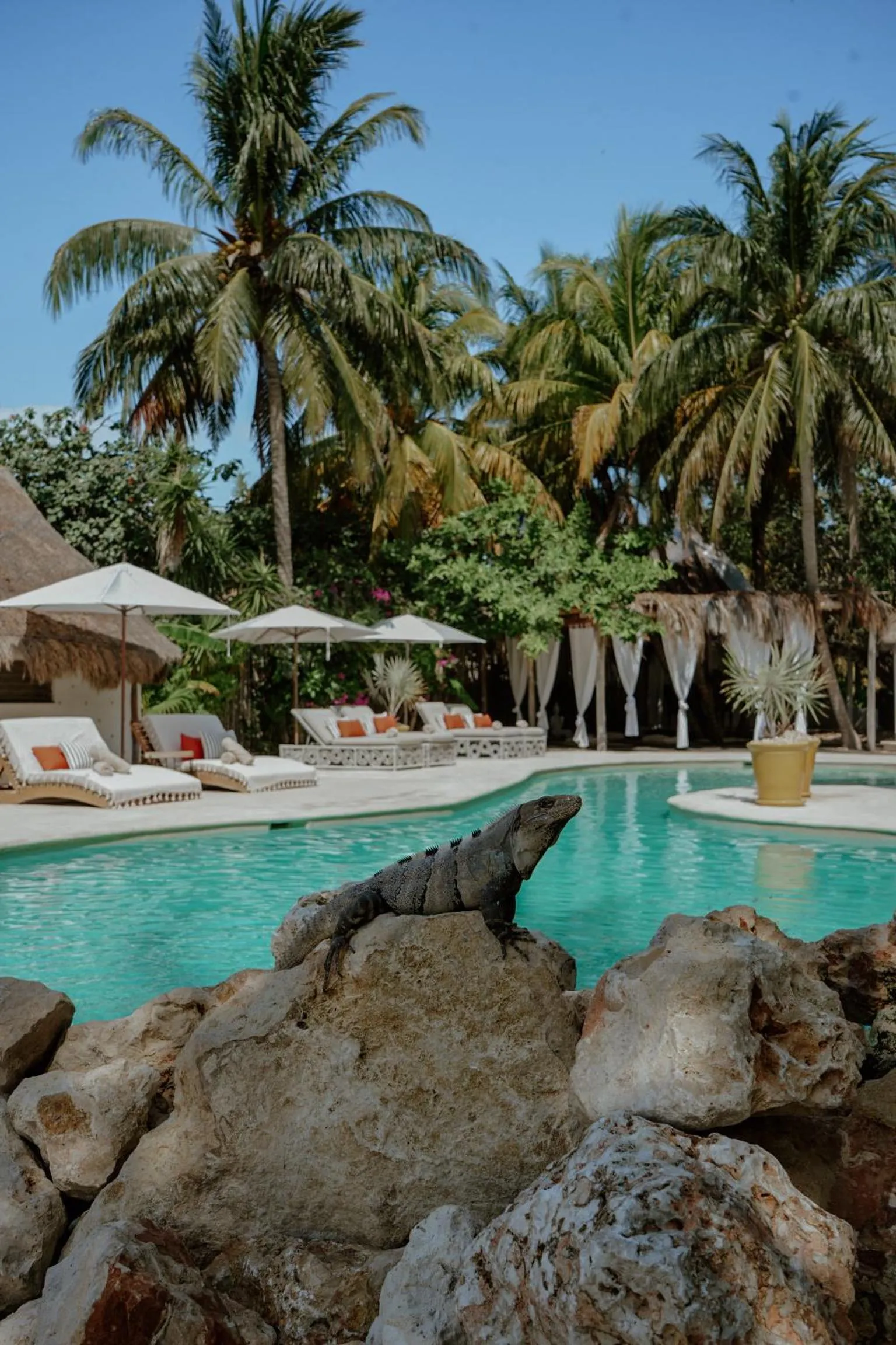 Swimming pool in Ser Casasandra Boutique Hotel