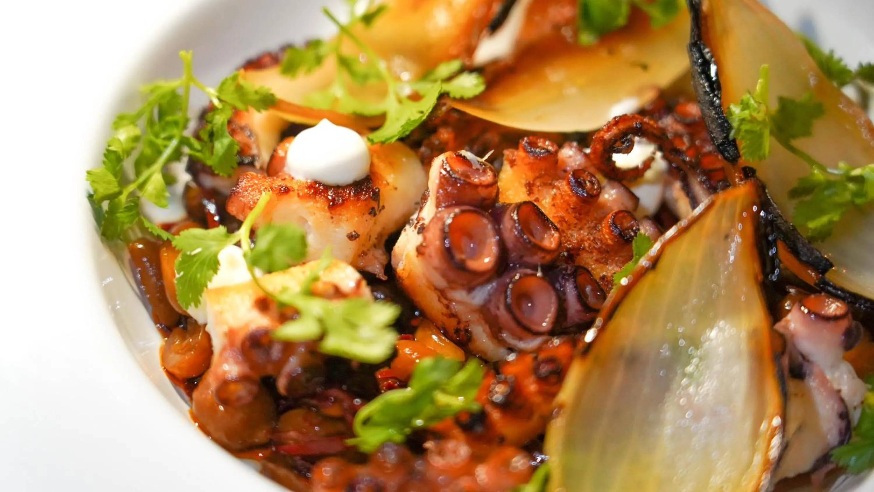 Restaurant/places to eat in Ser Casasandra Boutique Hotel