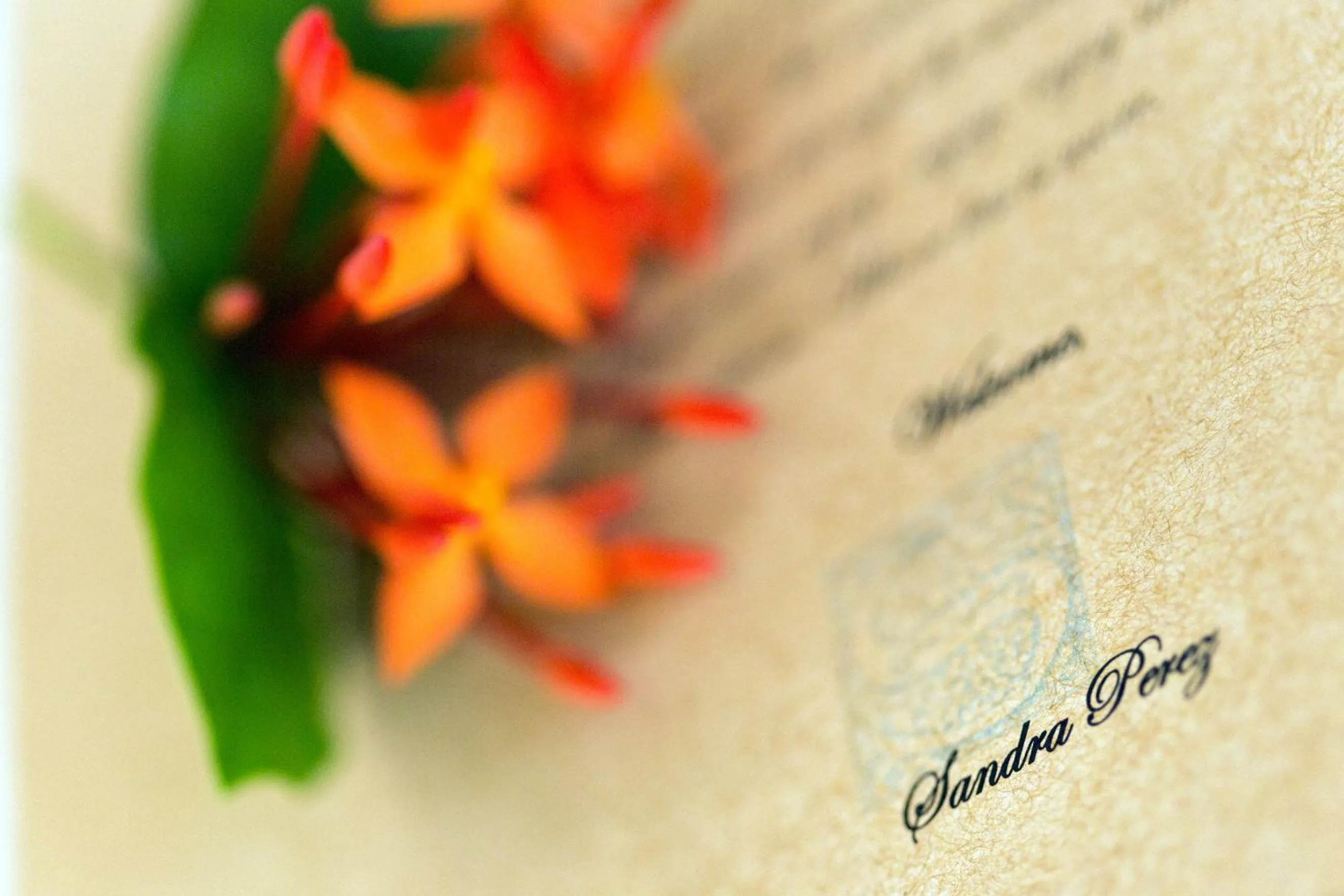 Decorative detail in Ser Casasandra Boutique Hotel