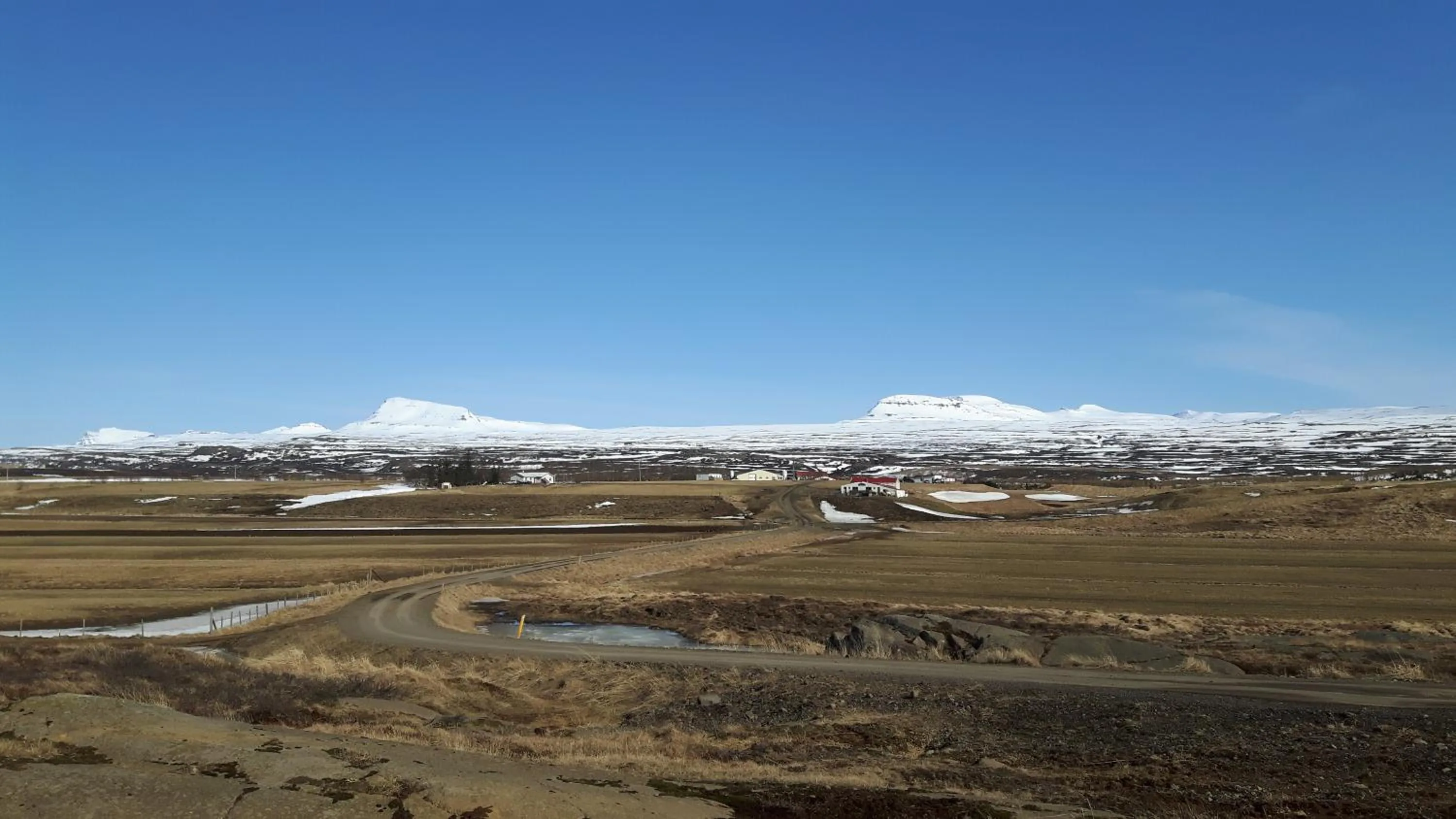 Spring in Hjartarstaðir Guesthouse