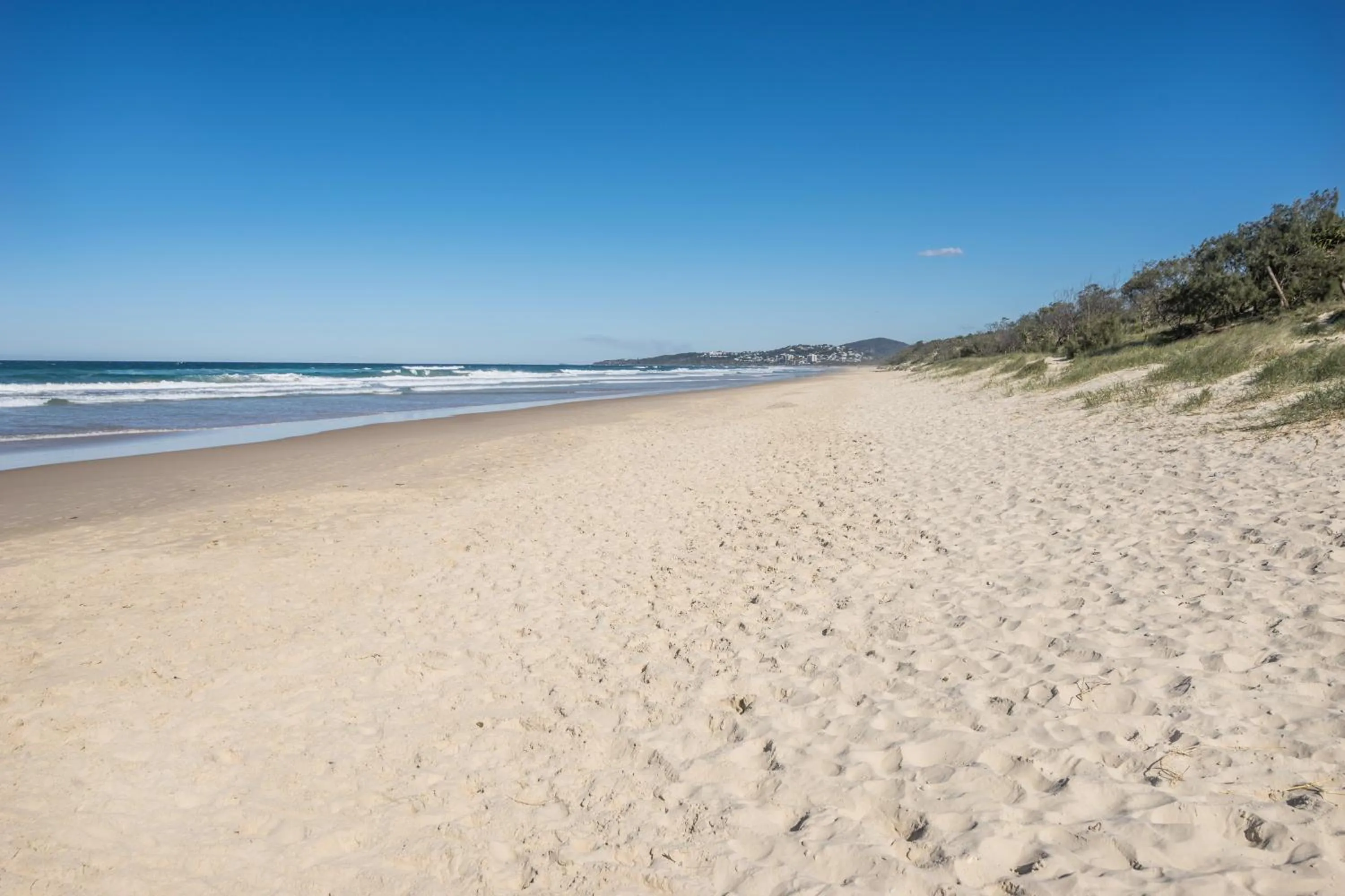 Natural landscape in Horizons At Peregian