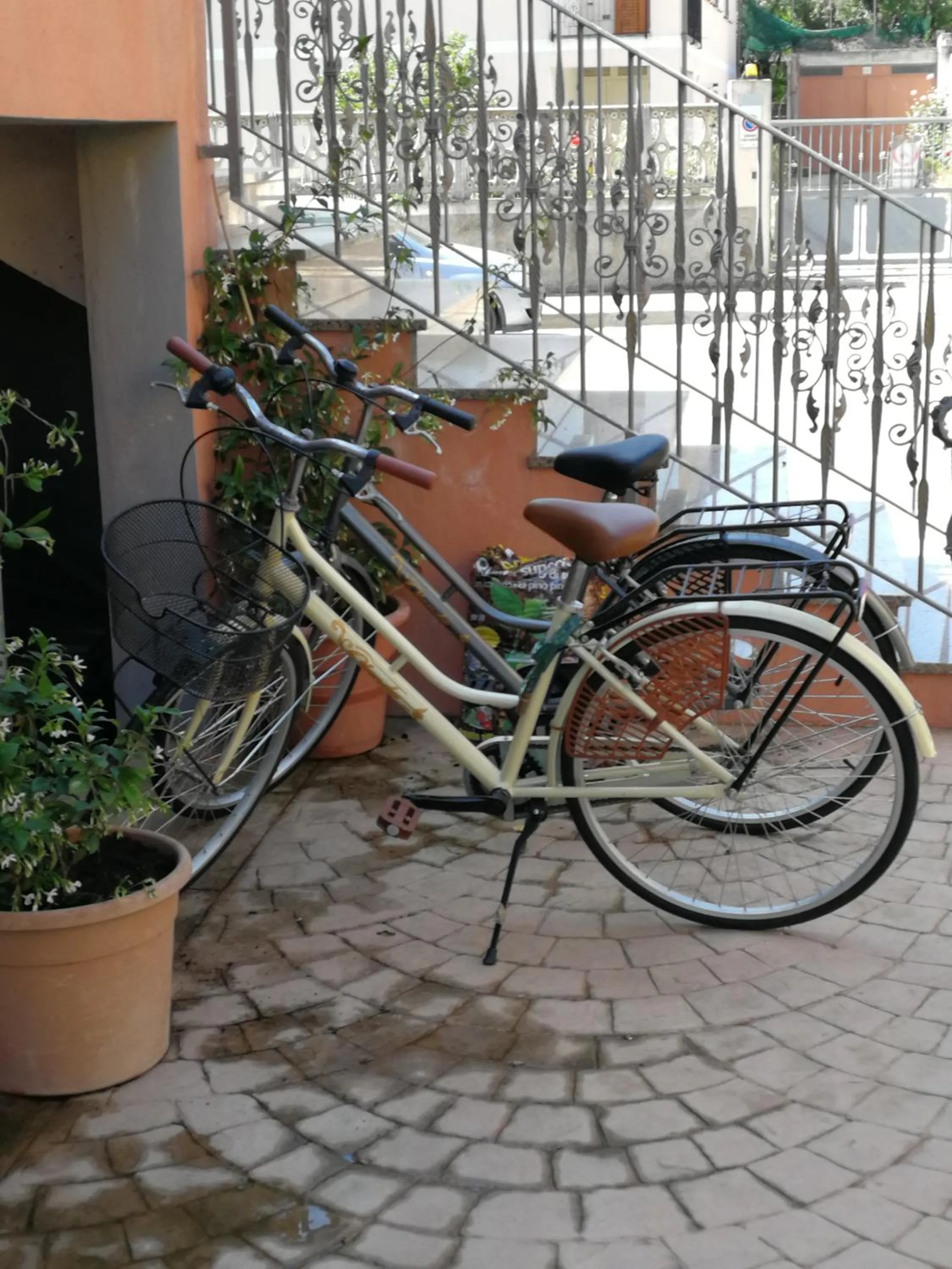 Activities in B&B Tequila