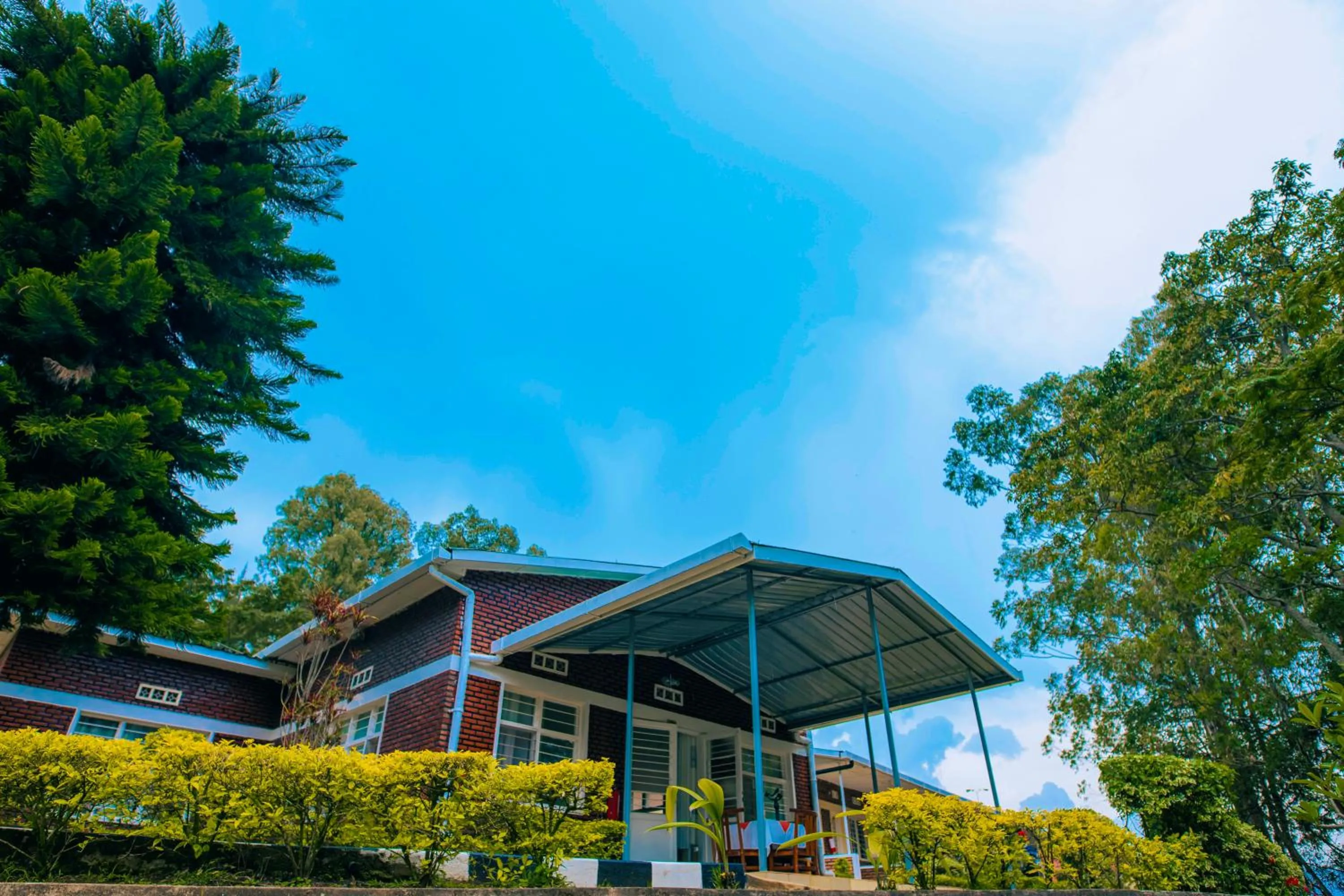 Garden view in Hotel Peace Guest House