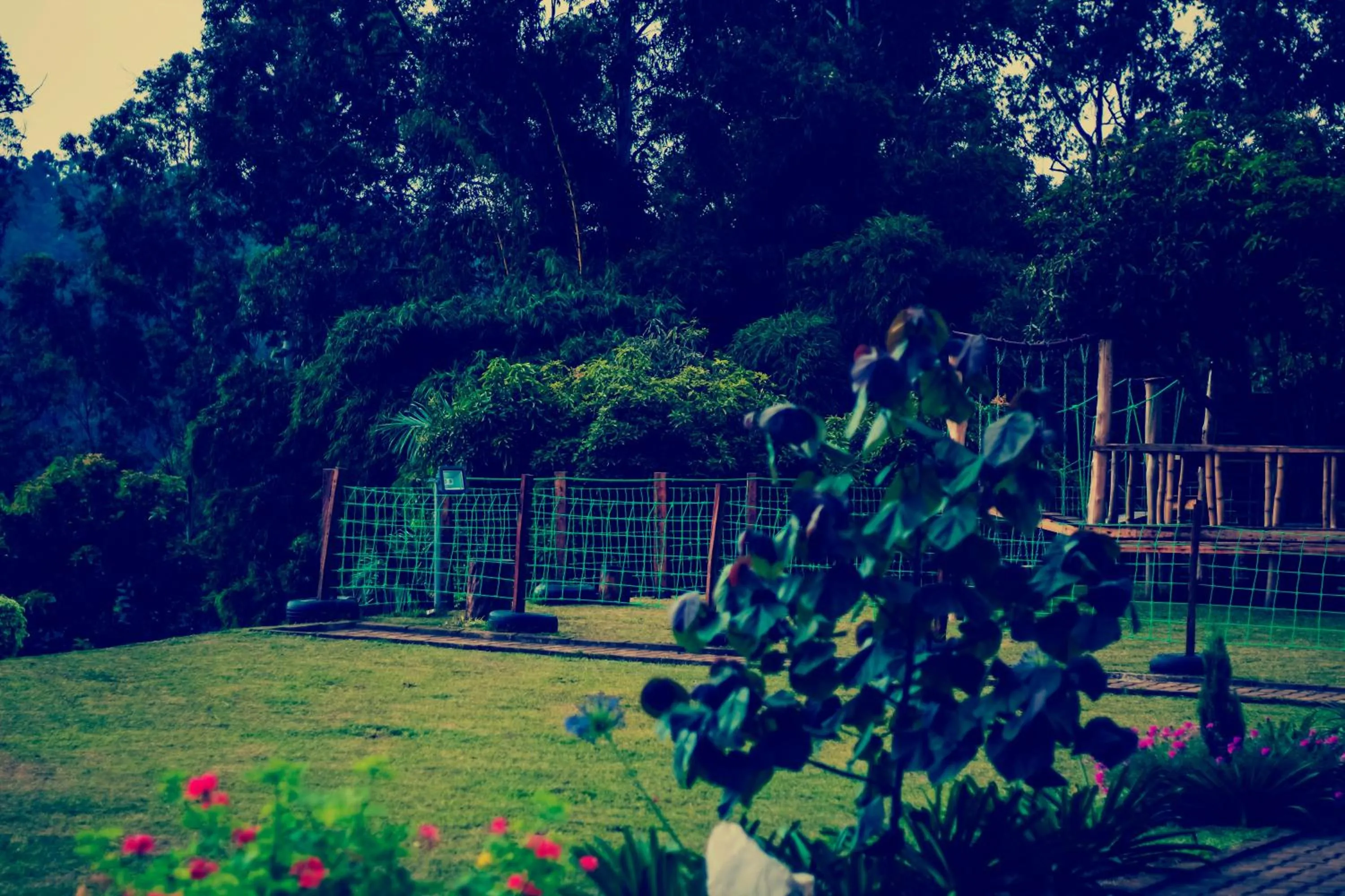 Hotel Peace Guest House