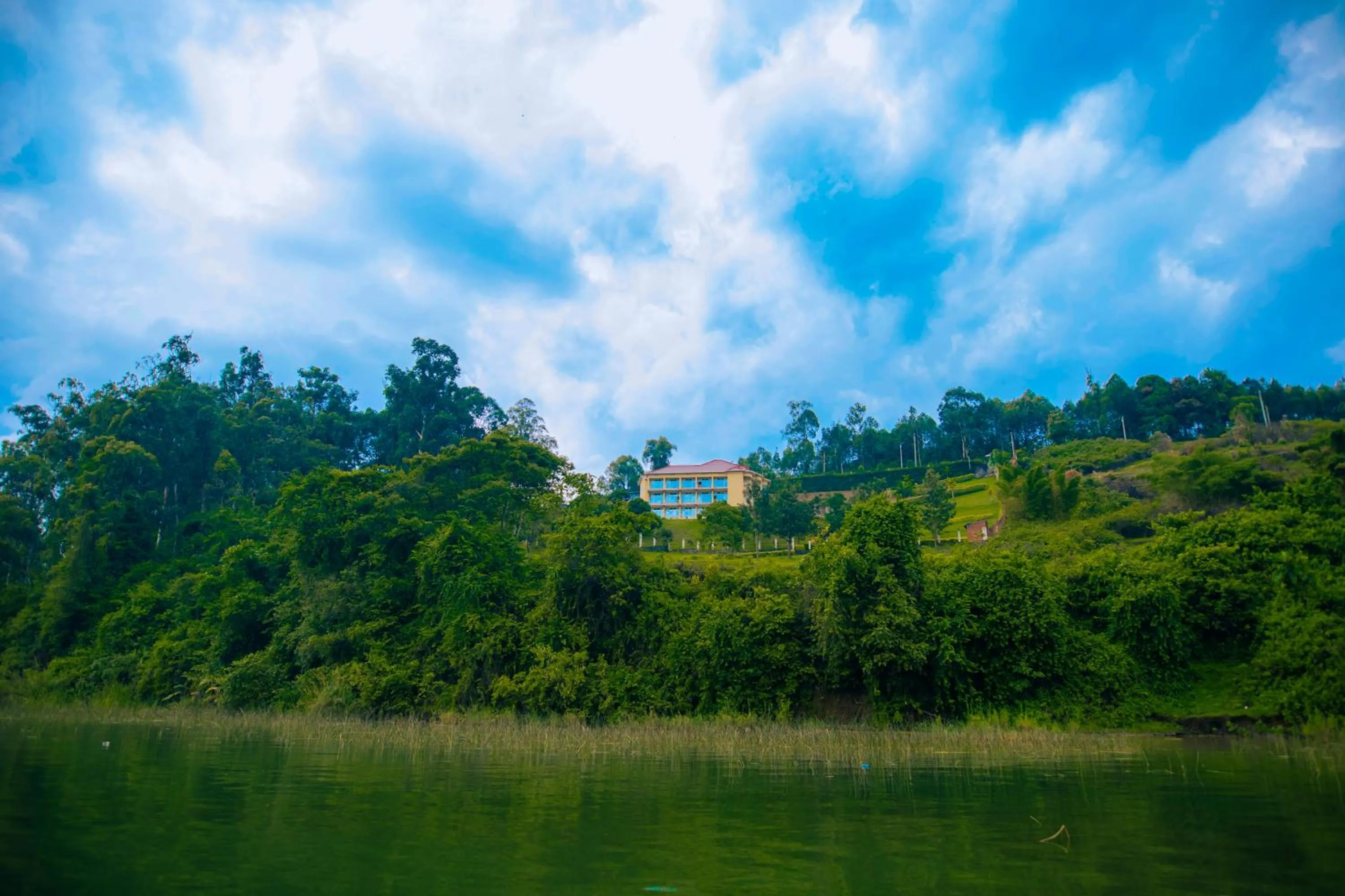 Natural landscape in Hotel Peace Guest House