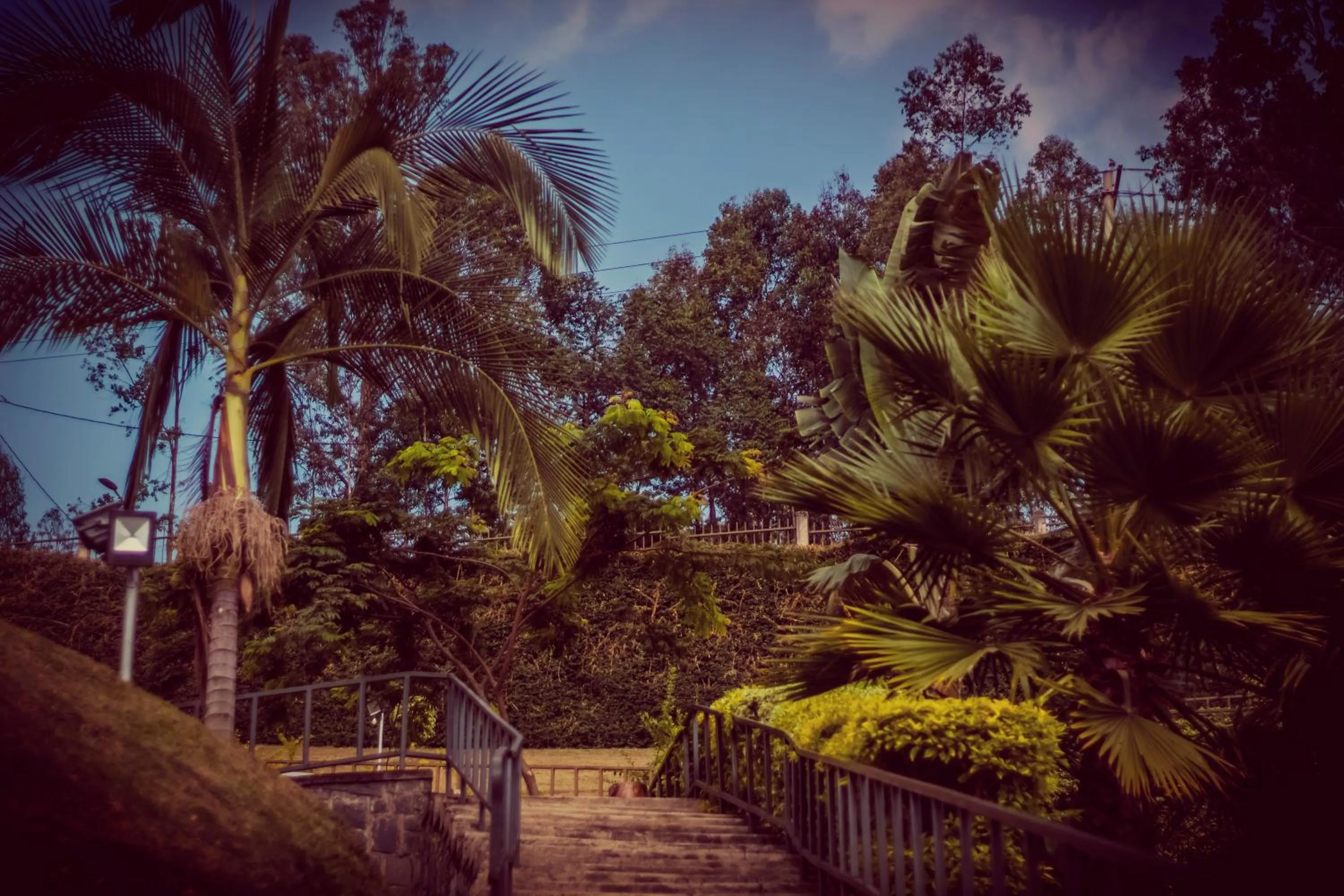 Hotel Peace Guest House