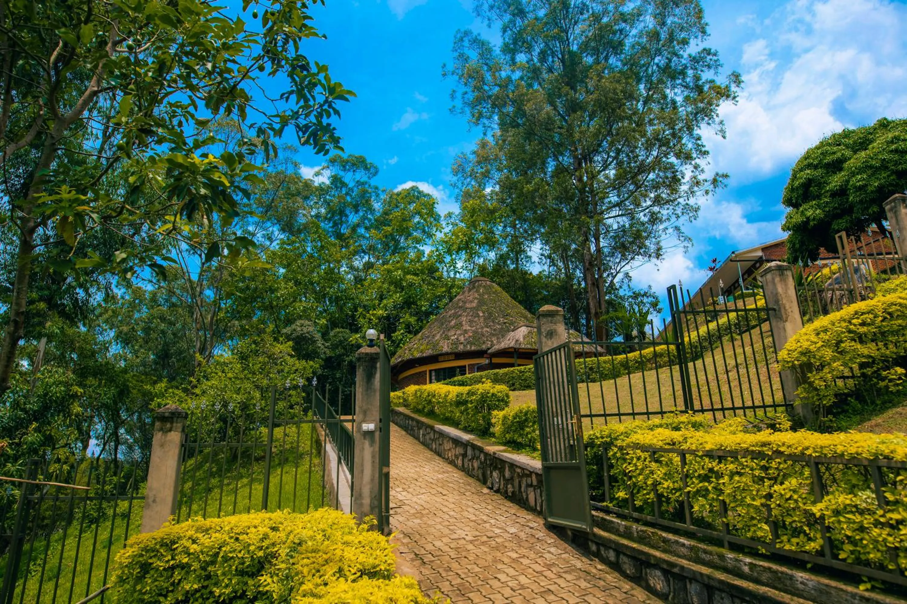 Natural landscape in Hotel Peace Guest House