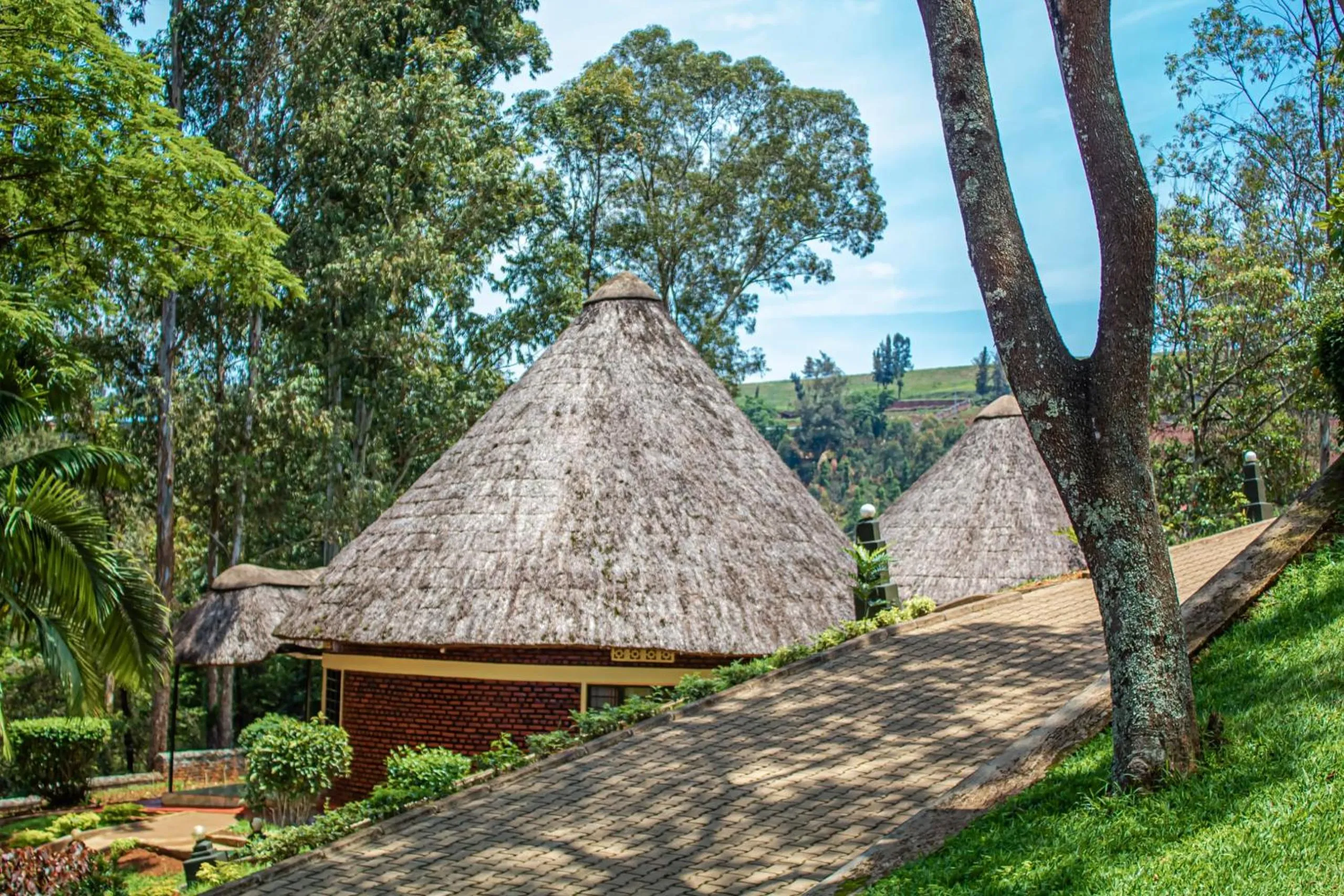 Hotel Peace Guest House