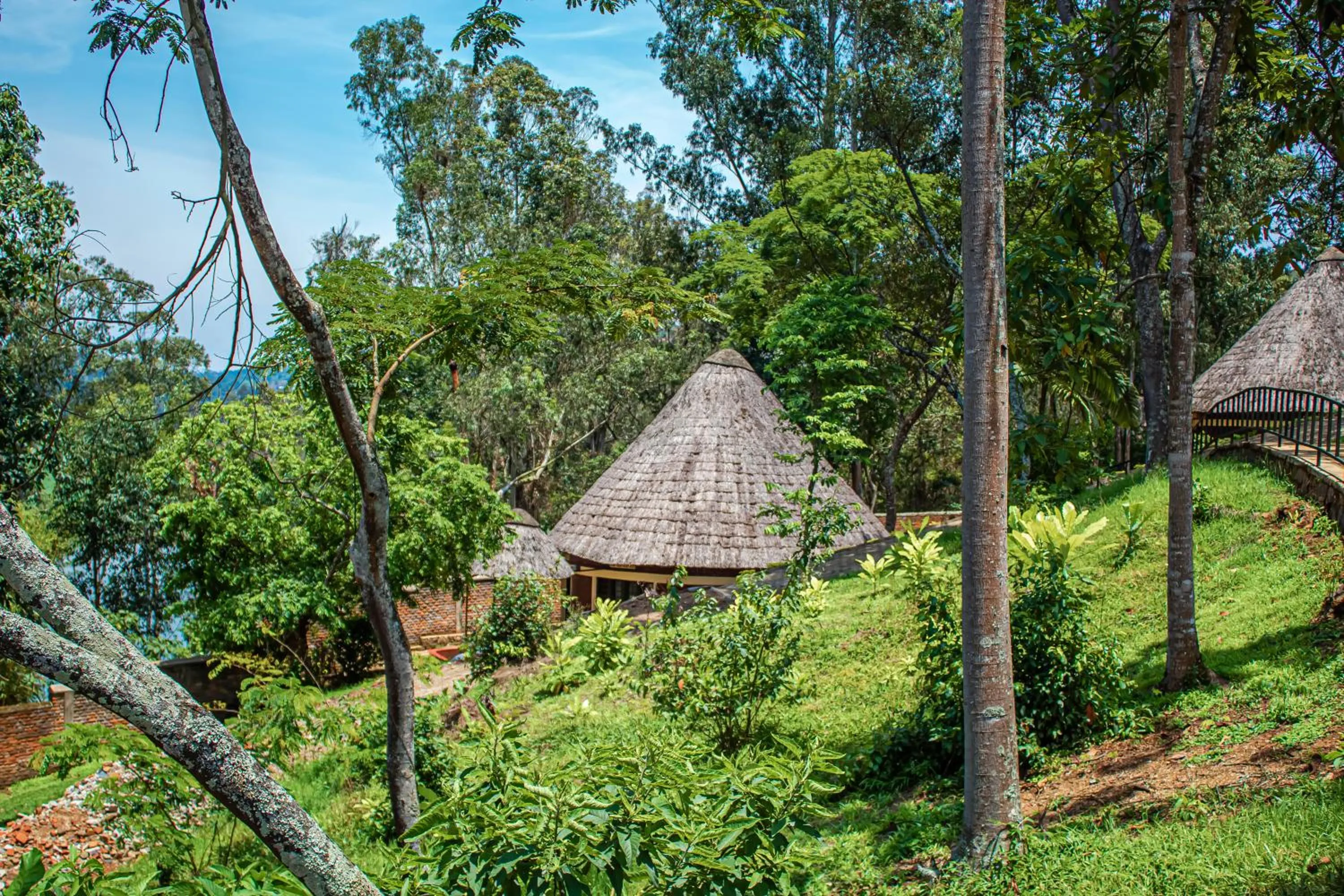 Hotel Peace Guest House