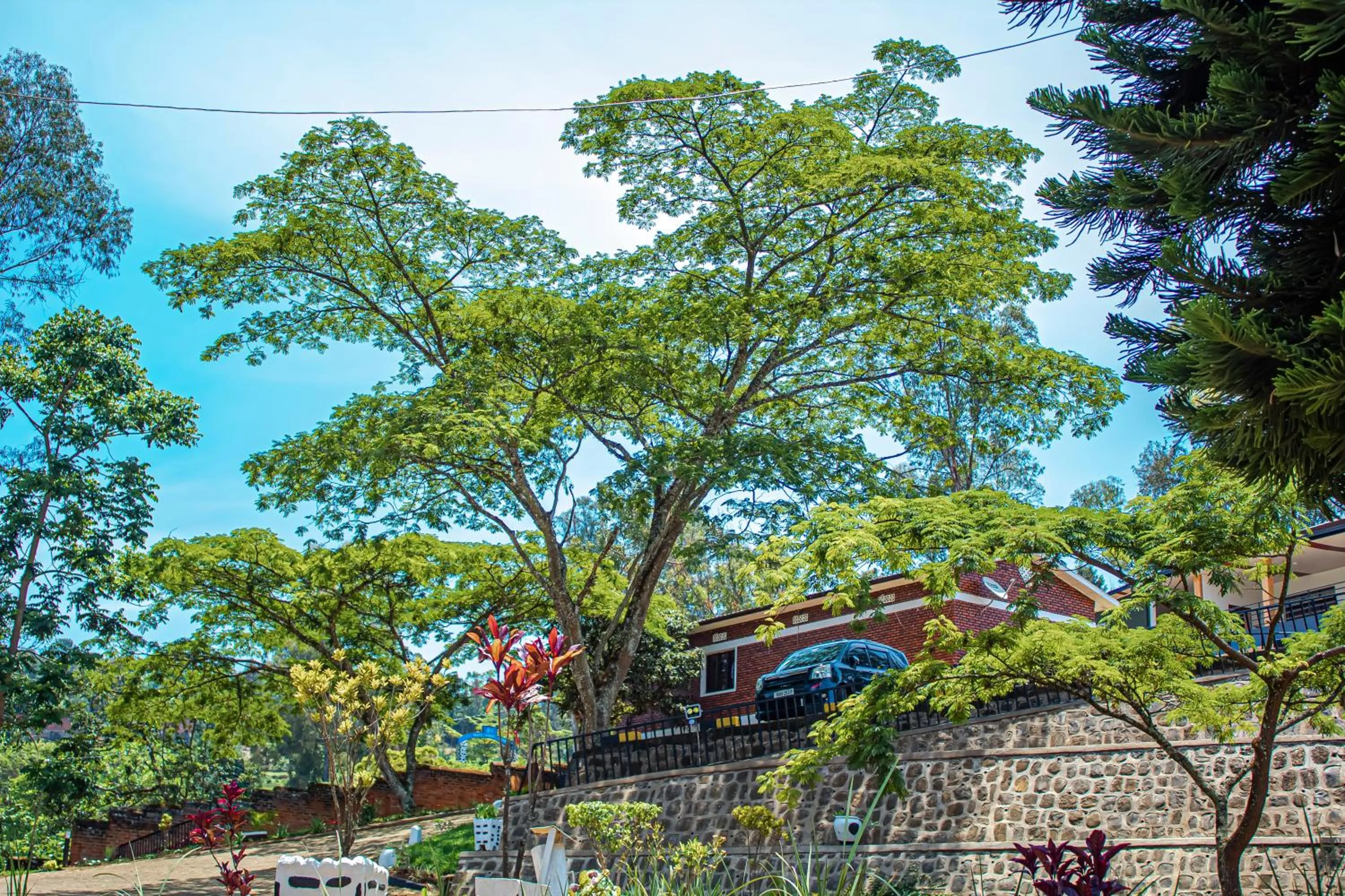 Hotel Peace Guest House