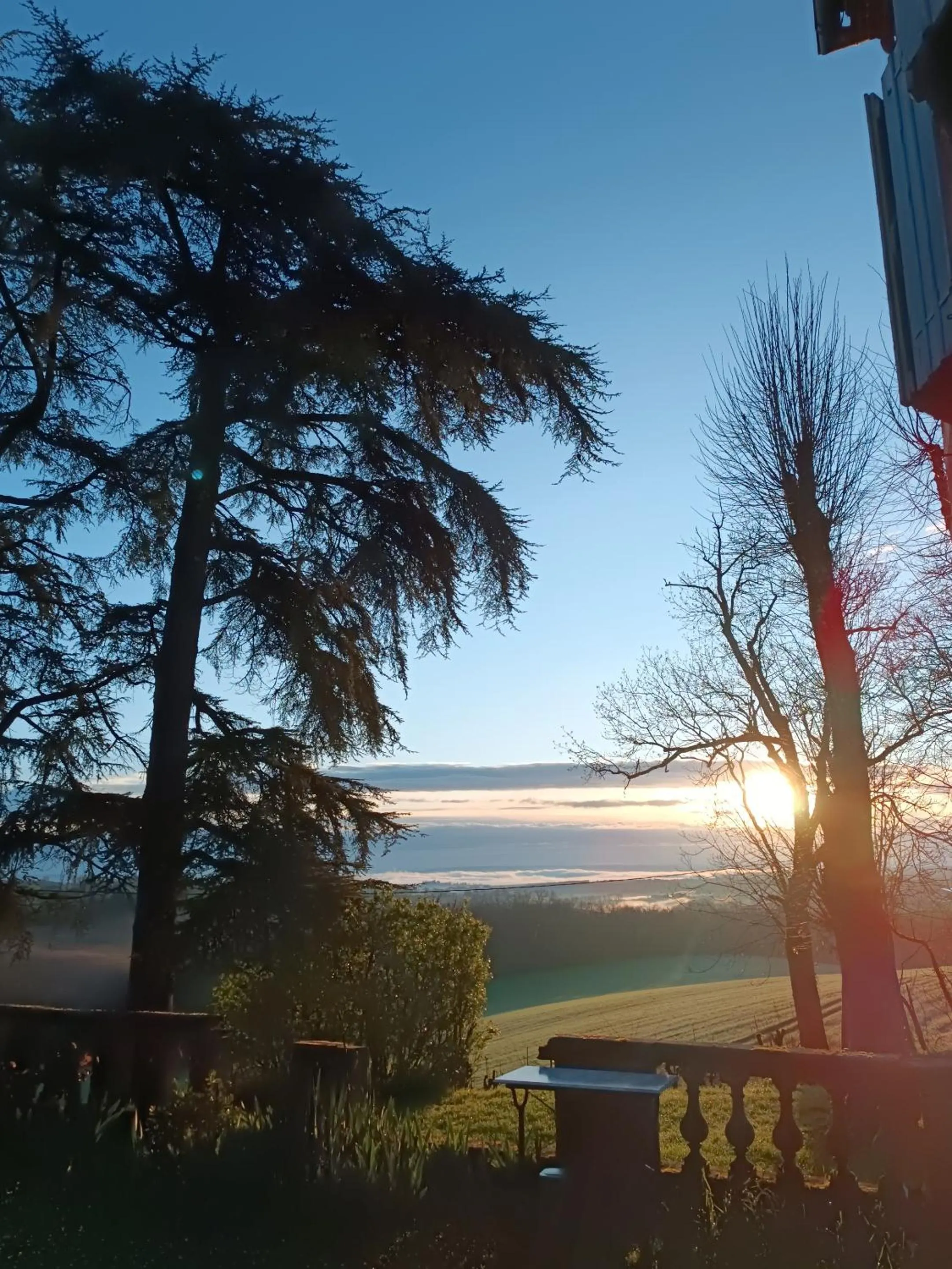 Property building in Le Jardin Des Cèdres