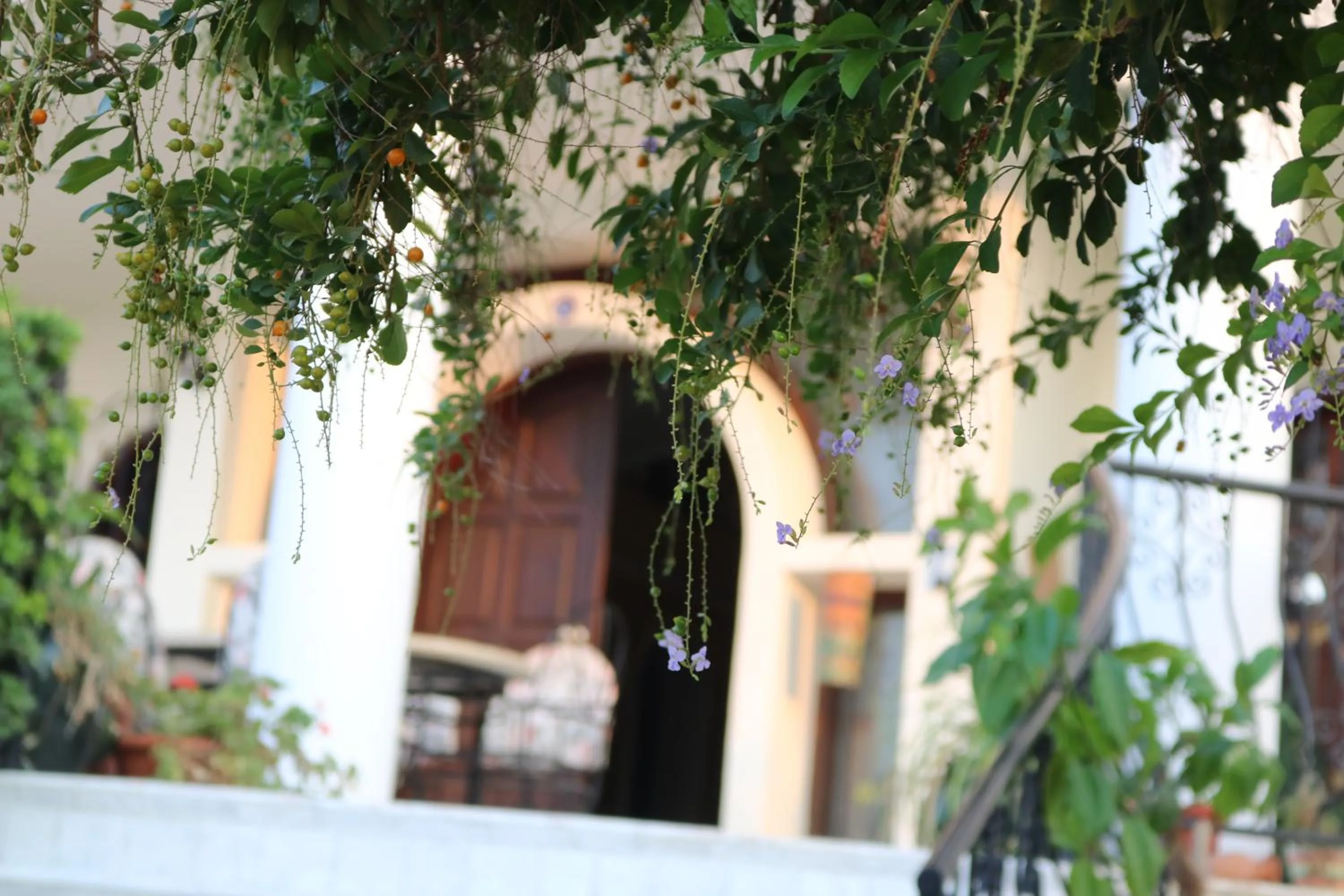 Property building in Meryem's Hotel