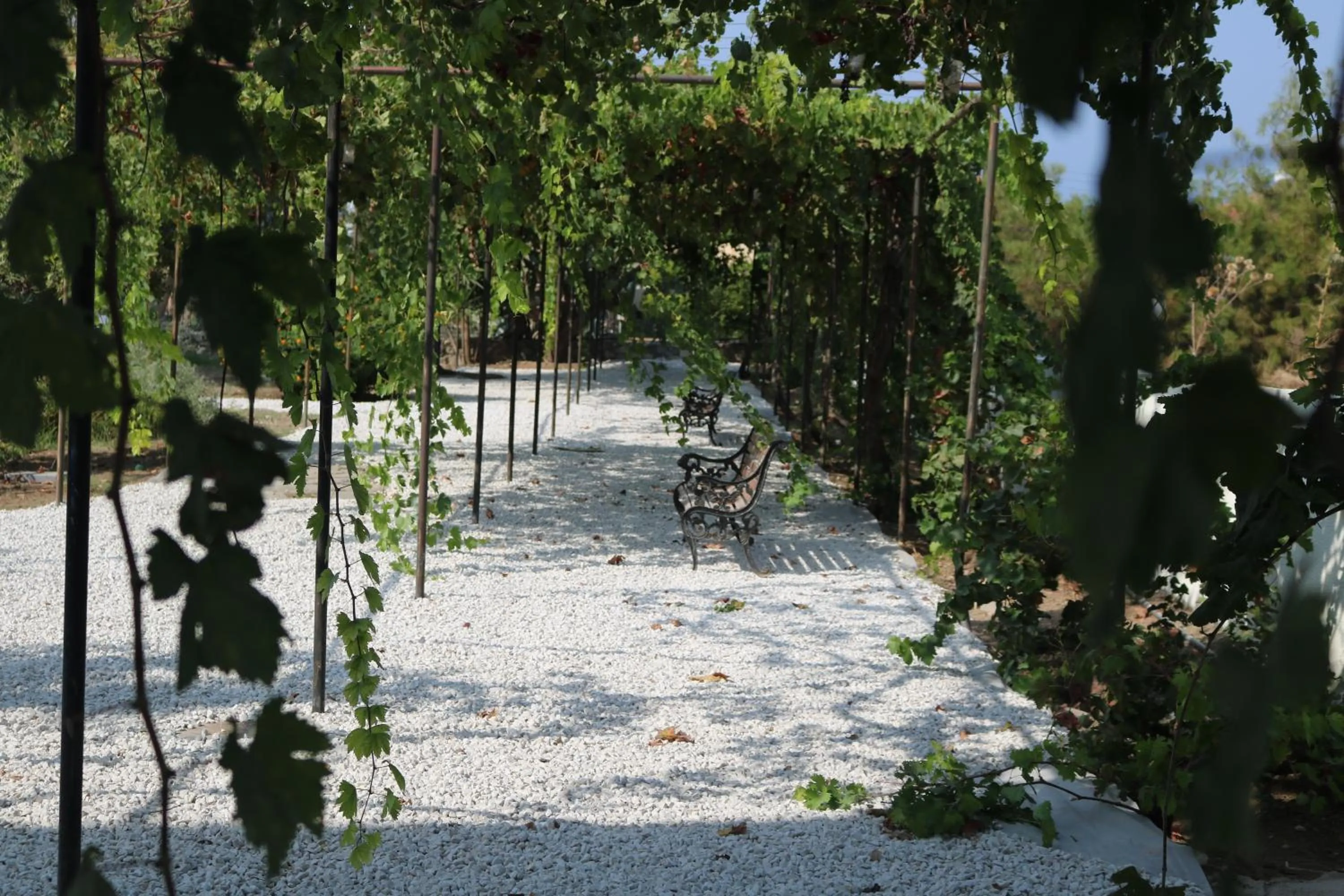 Day in Meryem's Hotel