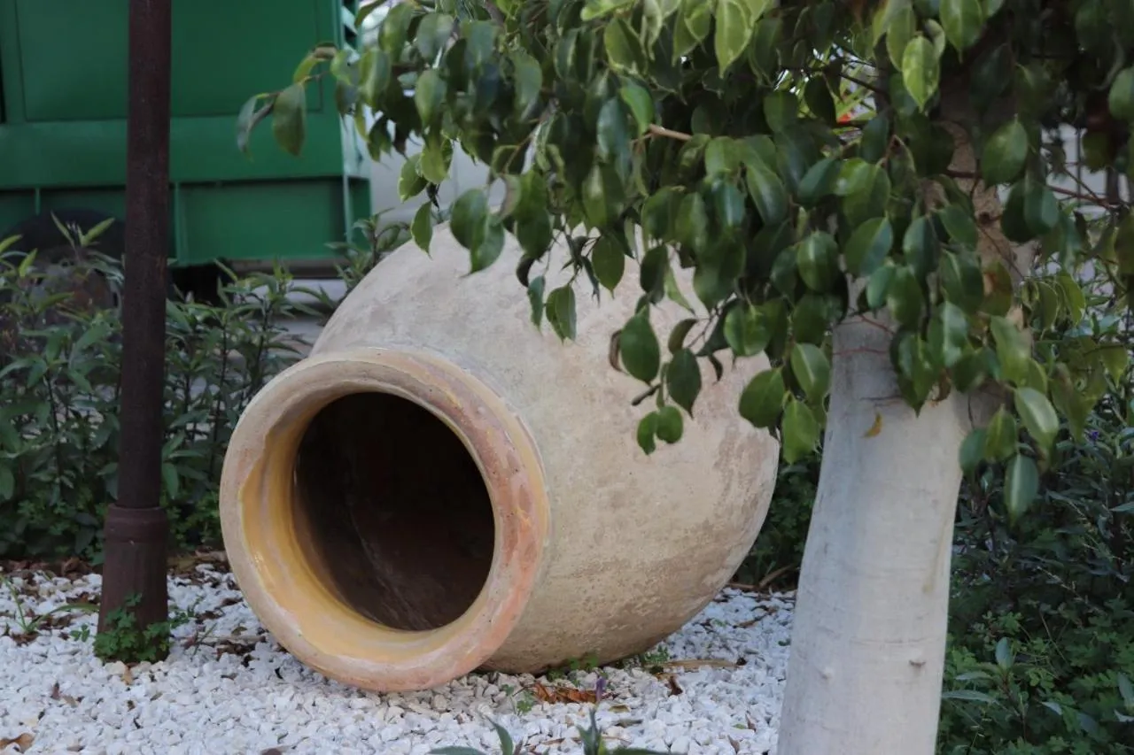 Garden in Meryem's Hotel