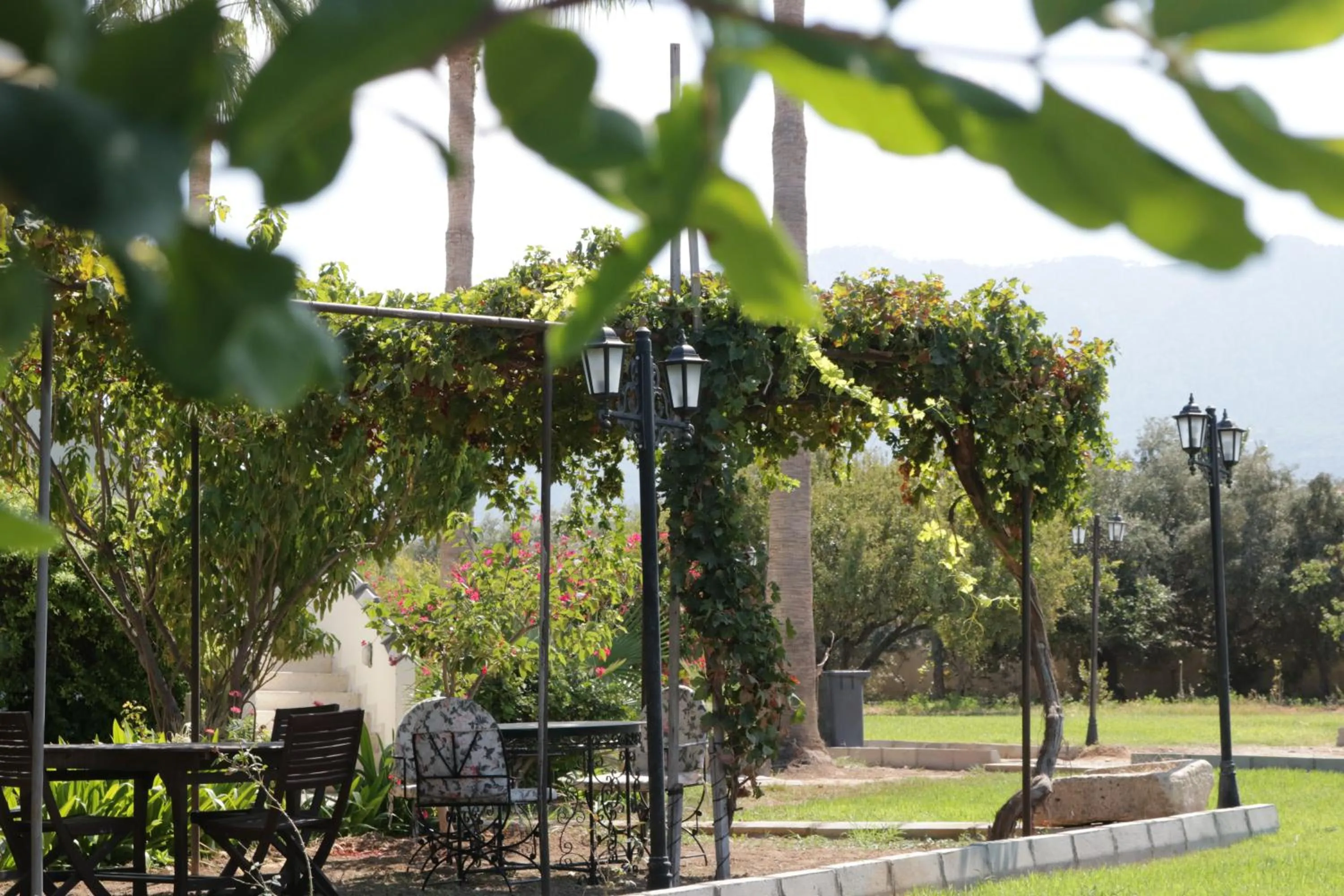 Spring in Meryem's Hotel