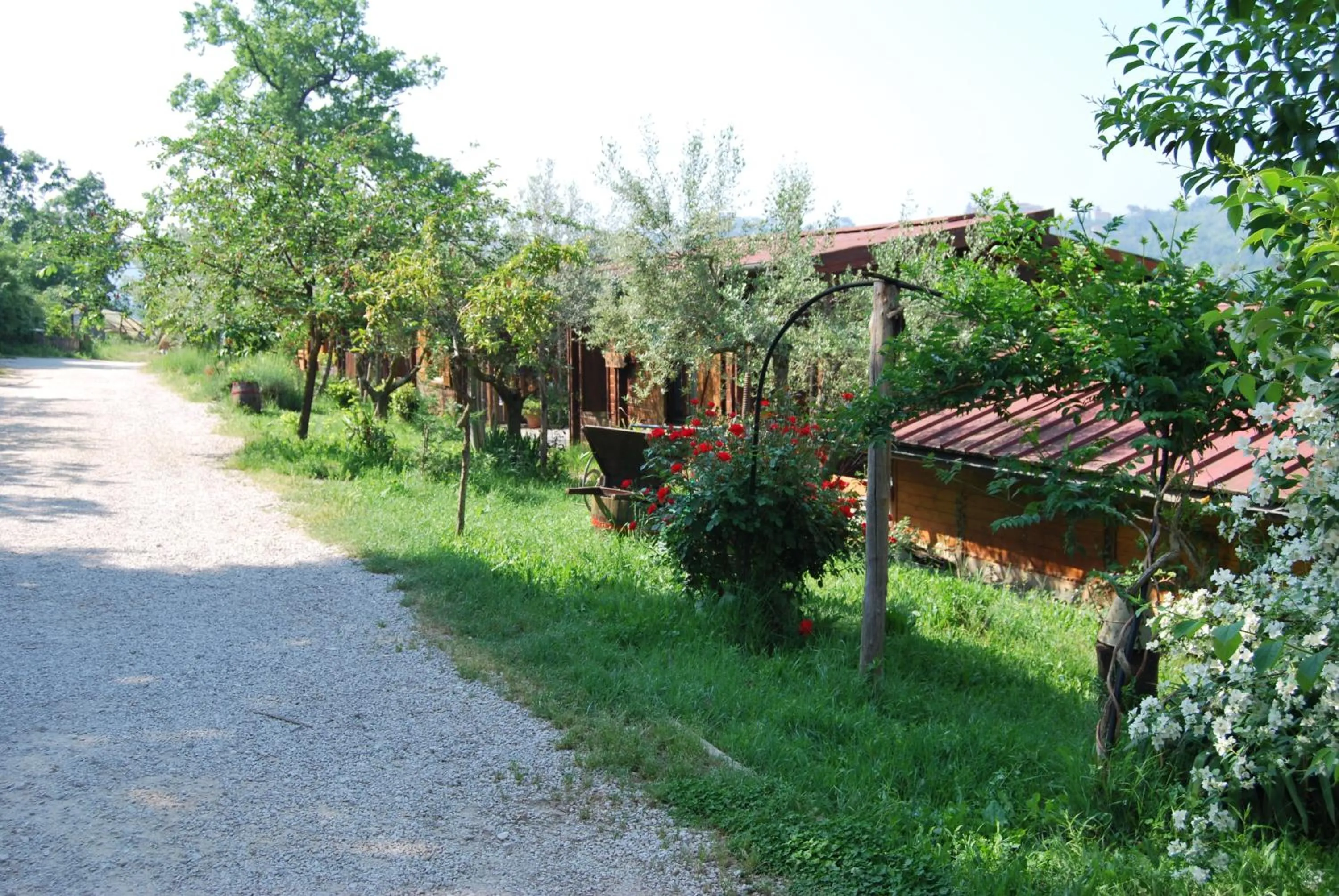 Agriturismo Cisogna