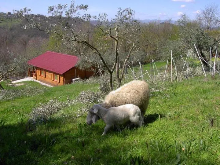 Property building in Agriturismo Cisogna