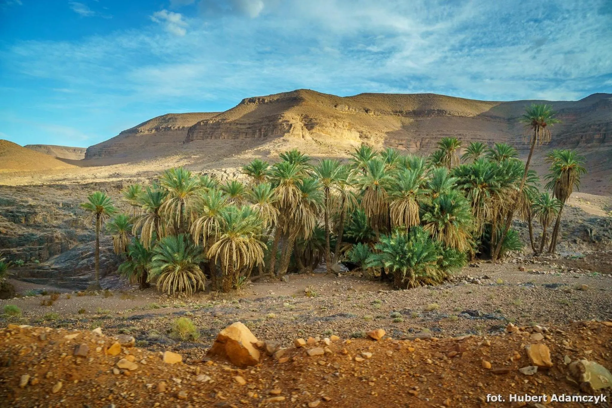 Natural landscape in Ouednoujoum Ecolodge & Spa