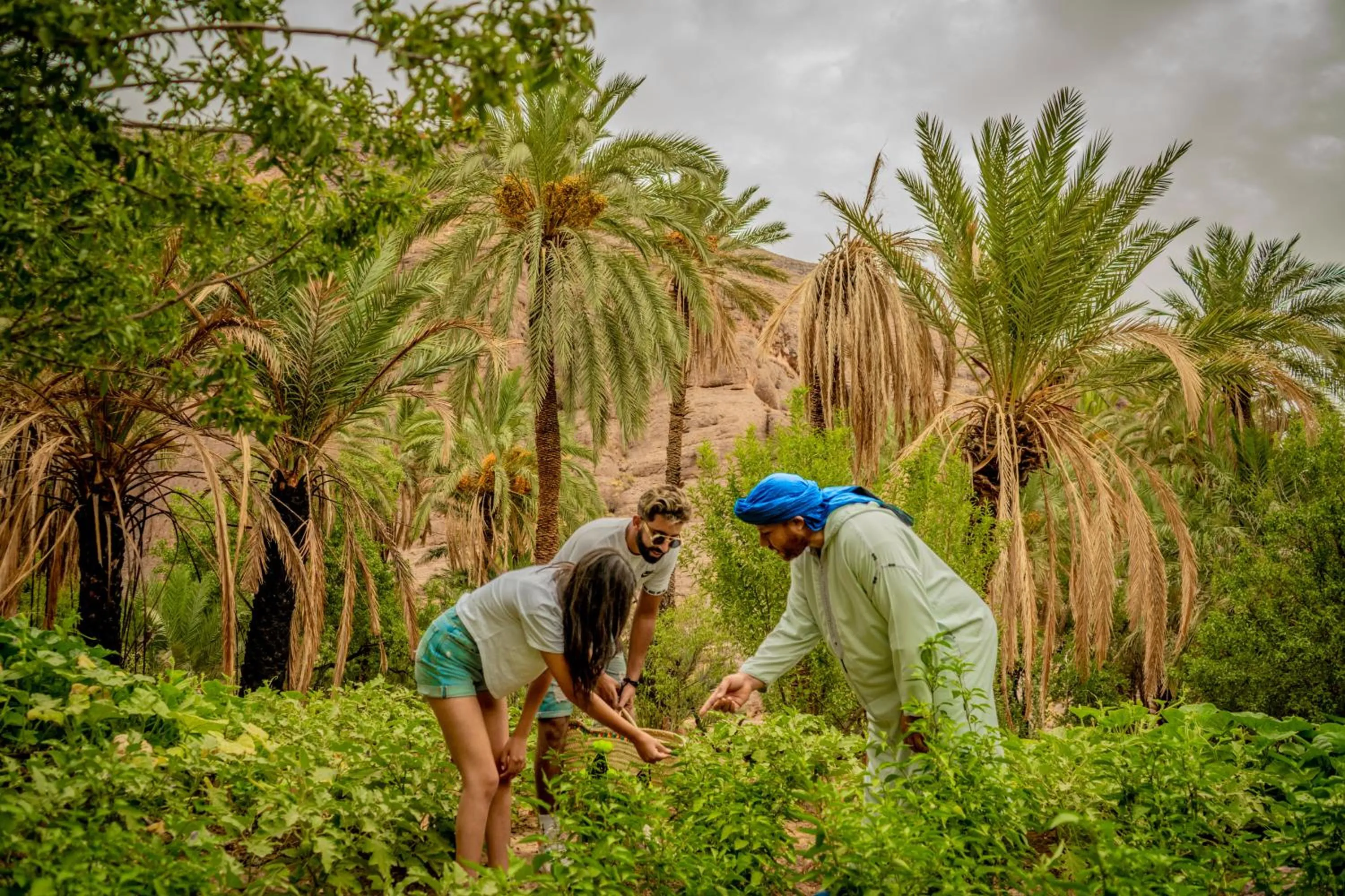 Activities in Ouednoujoum Ecolodge & Spa