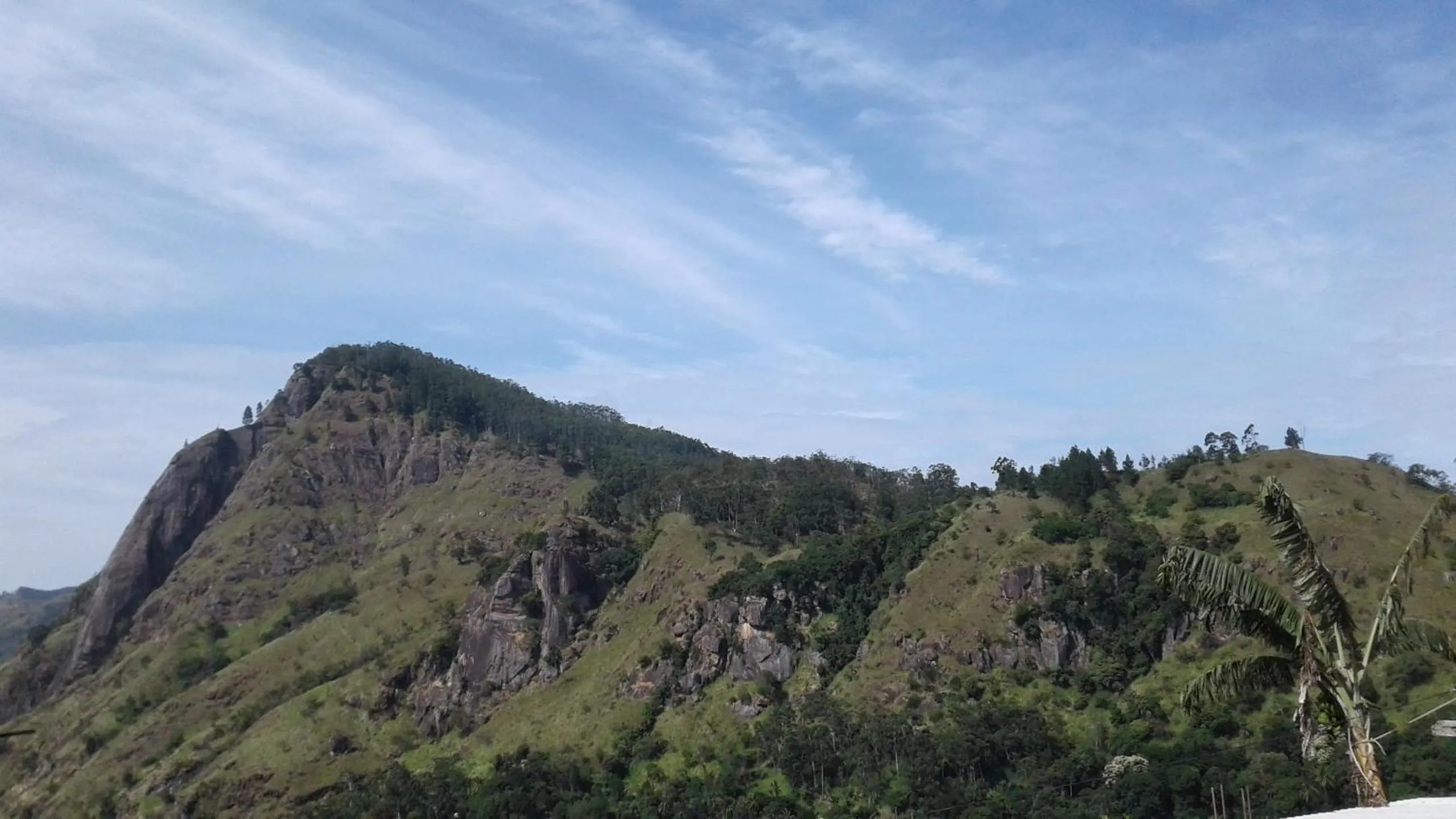 Jaye Homestay